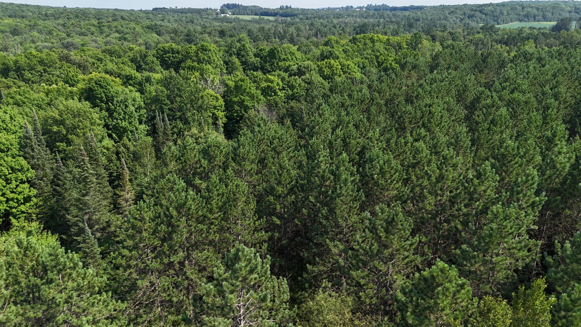 40-ac Sunrise Road Merrill, WI 54452 - Photo 13 of 20 Gallery Image 13