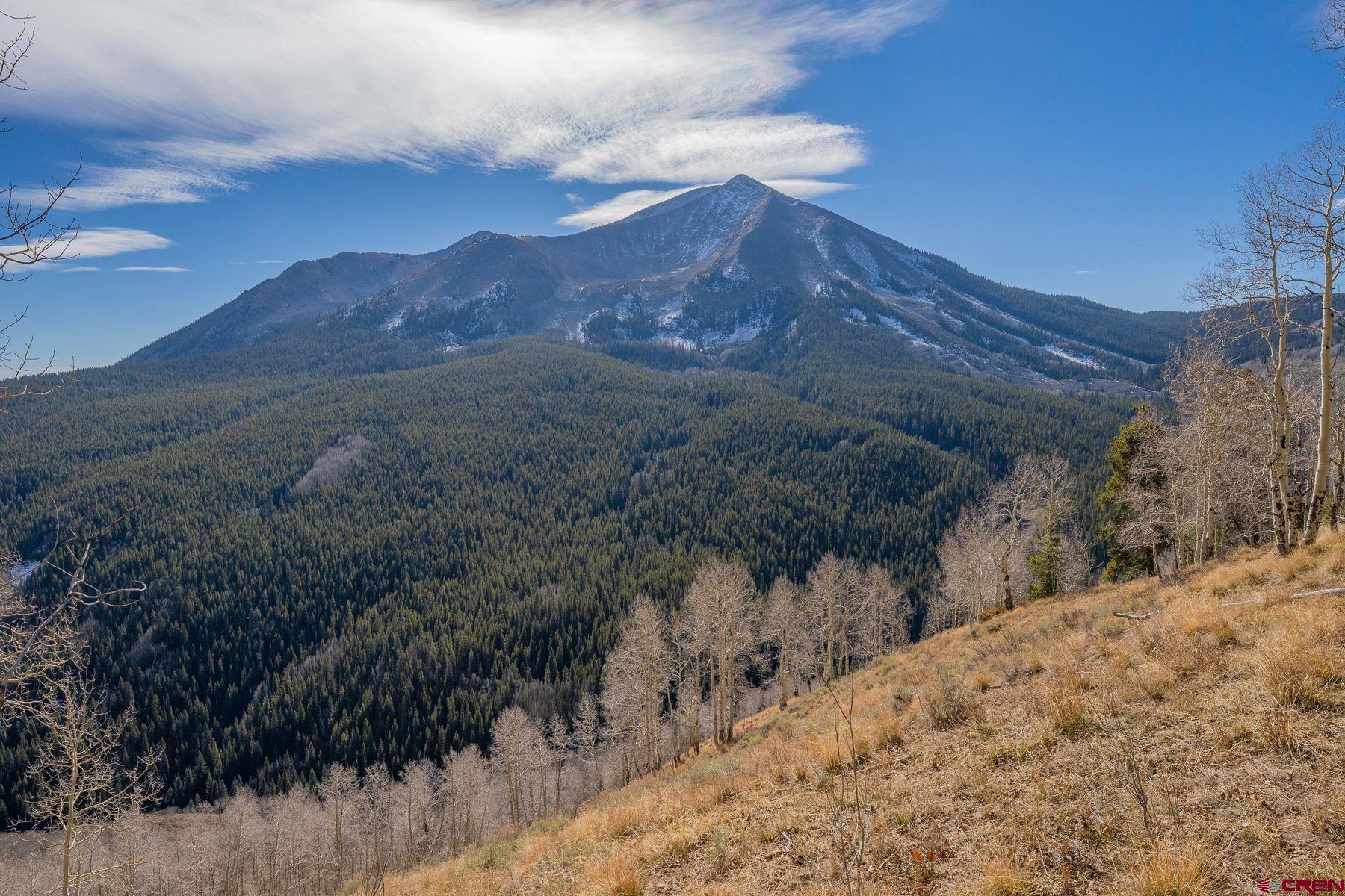 980 Saddle Rdg Road Crested Butte, CO 81224 - Photo 13 of 45 Gallery Image 13