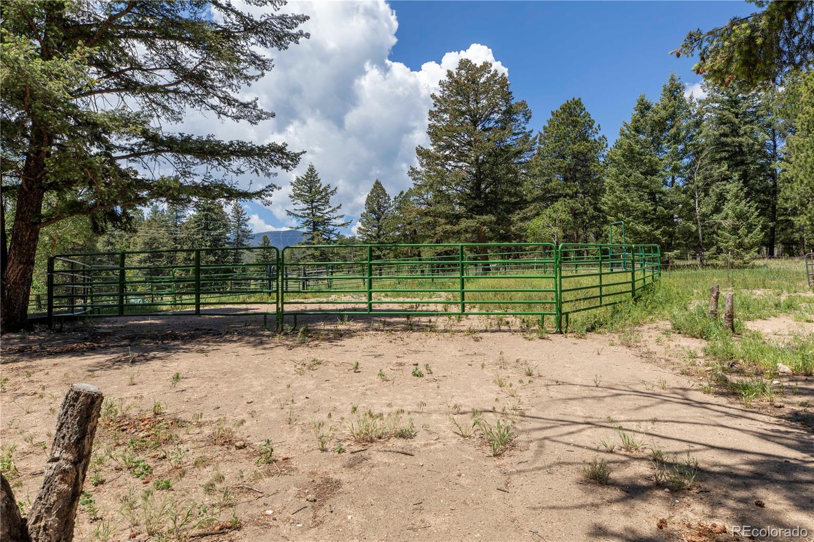 8830 South Blue Creek Road Evergreen, CO 80439 - Photo 9 of 41