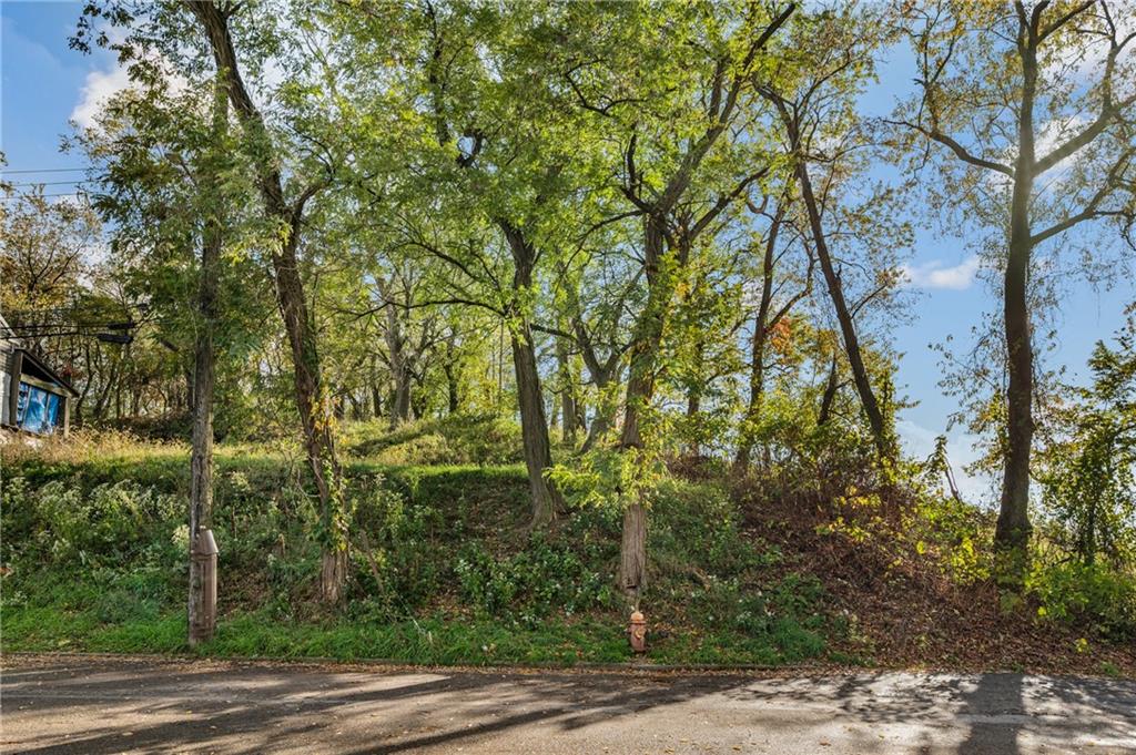 0 Woessner Avenue Pittsburgh, PA 15212 - Photo 8 of 18 a view of a forest
