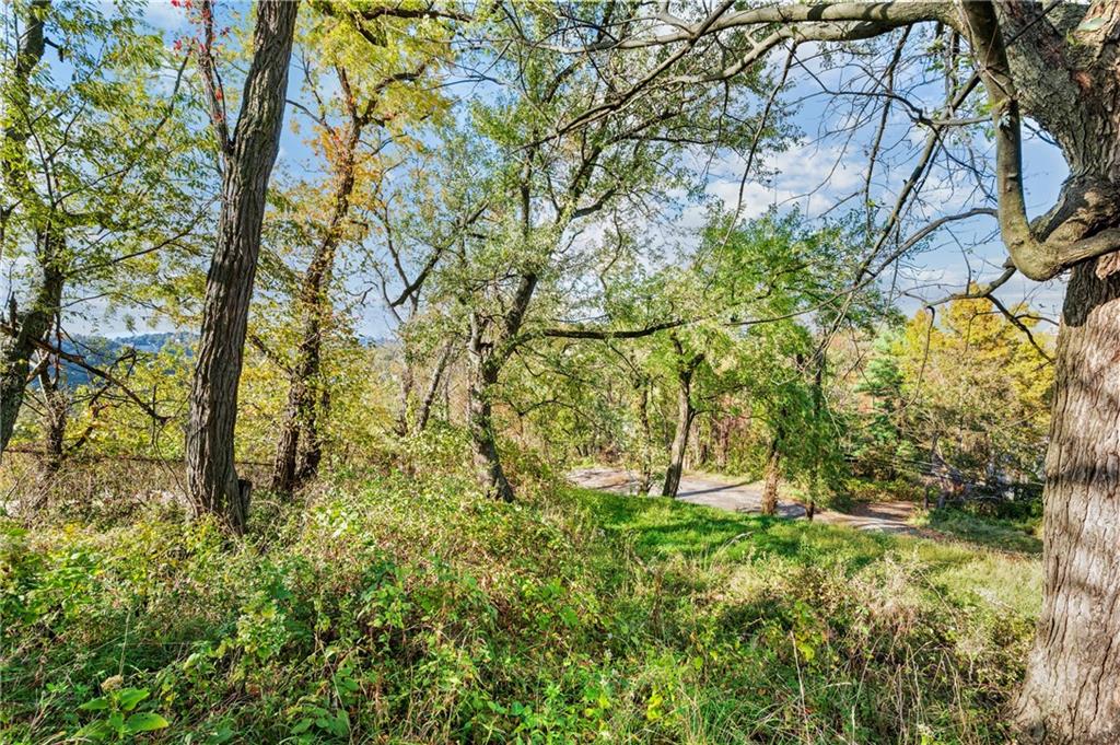 0 Woessner Avenue Pittsburgh, PA 15212 - Photo 10 of 18 a view of a yard with a tree