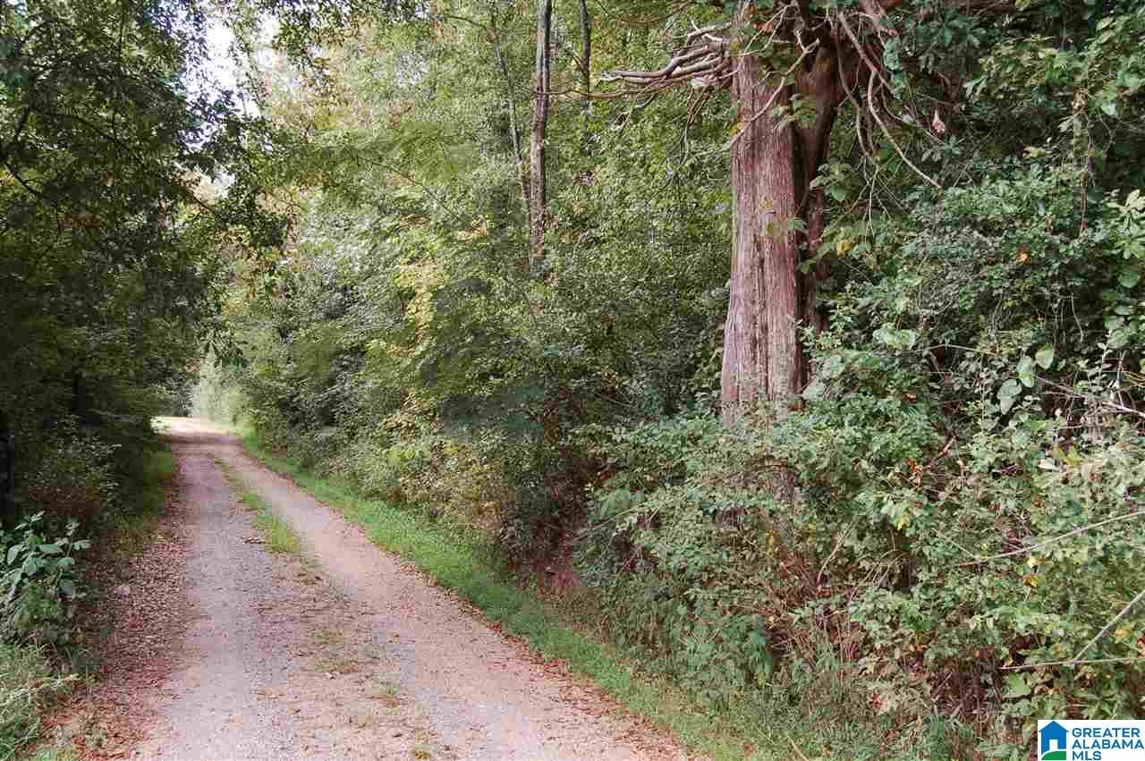 26-acres Old Shocco Road, Unit 26 ACRES Talladega, AL 35160 - Photo 6 of 10