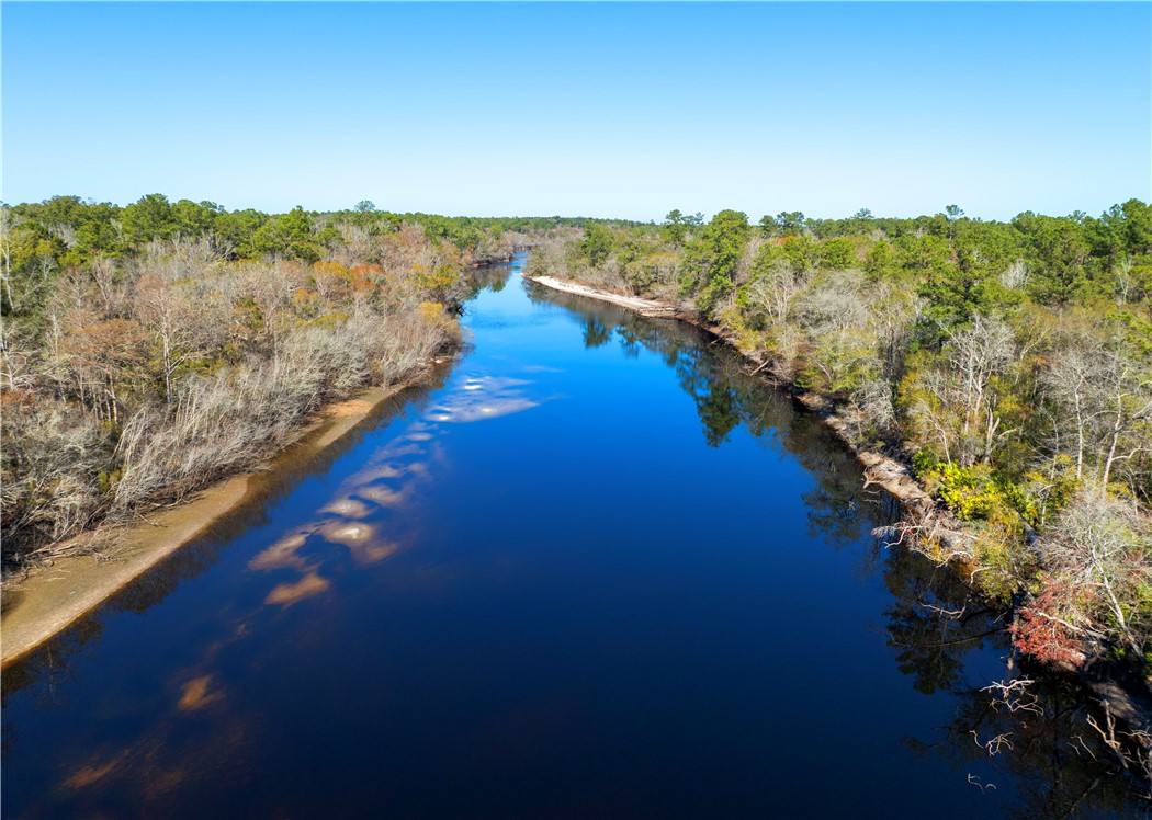 0 Stephen Park Road Nahunta, GA 31553 - Photo 6 of 8