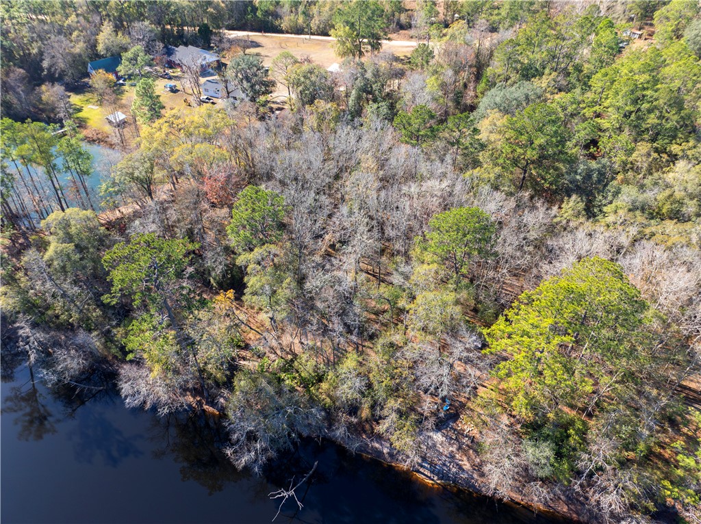 0 Stephen Park Road Nahunta, GA 31553 - Photo 8 of 8