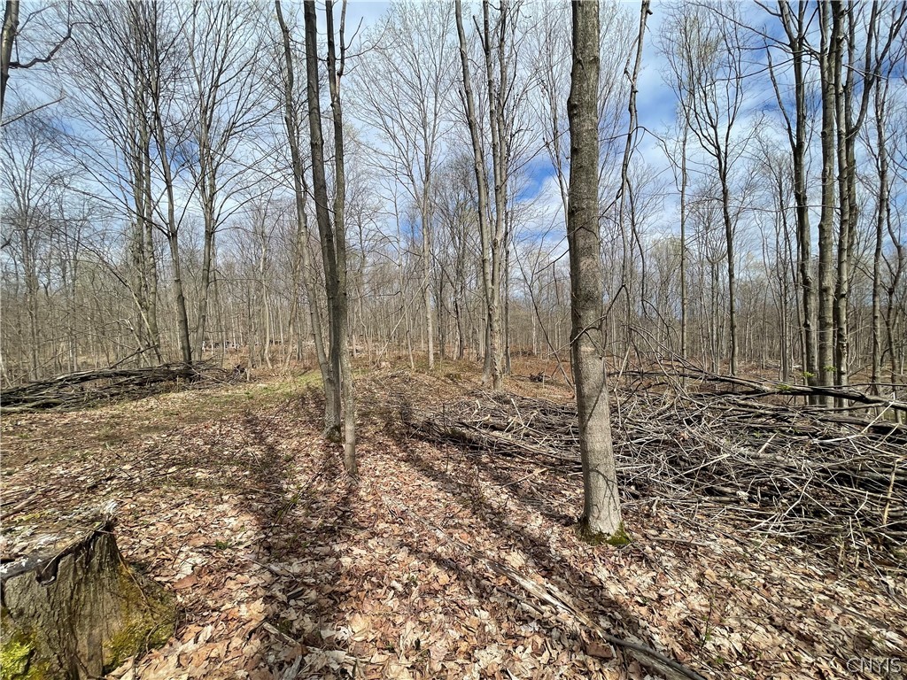 3442 County Rte 57 Volney, NY 13126 - Photo 21 of 24