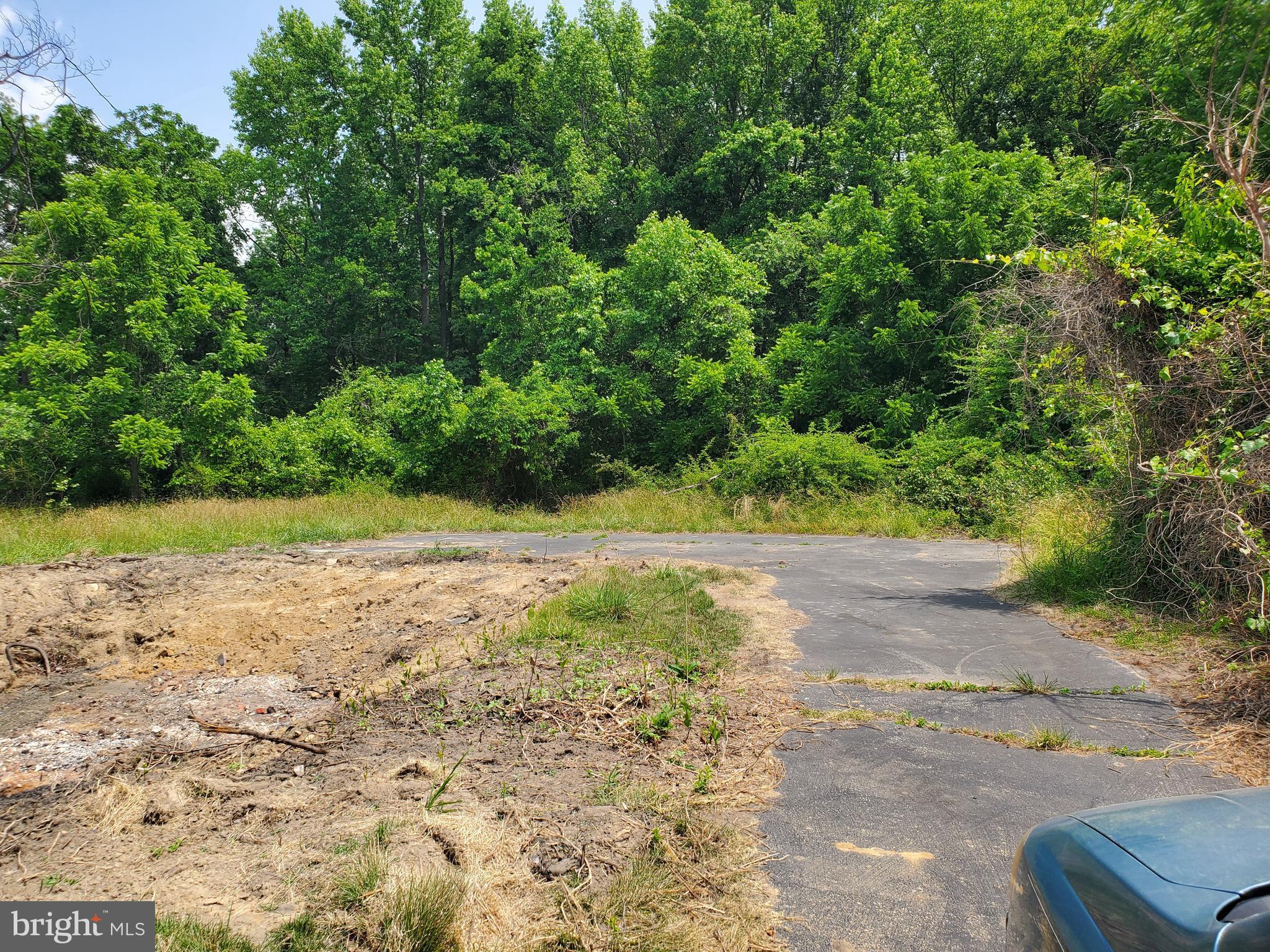 6147 Summit Bridge Road Townsend, DE 19734 - Photo 18 of 25 driveway on property