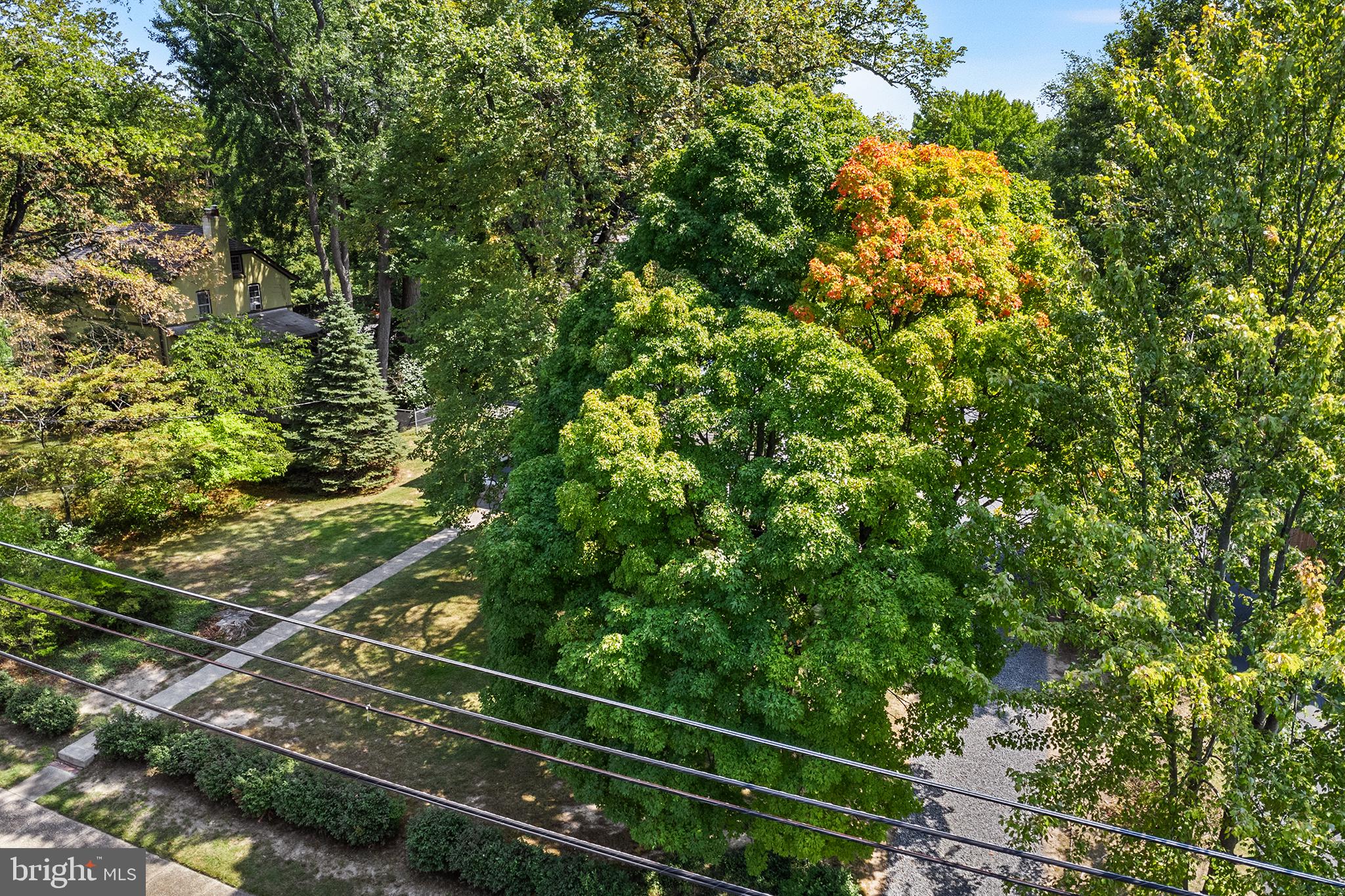 960 Lawrence Road Lawrenceville, NJ 08648 - Photo 8 of 62
