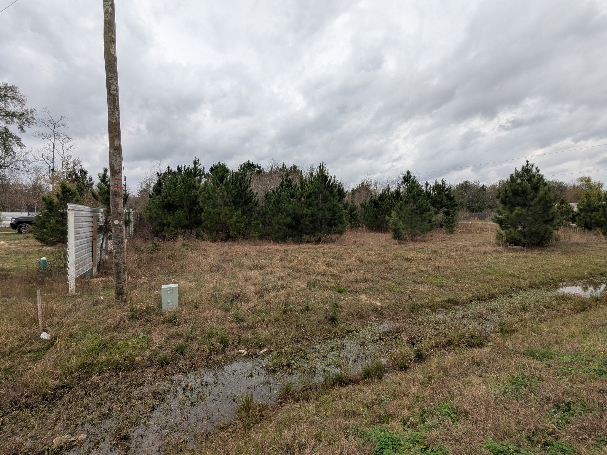 107 County Road 5022 Cleveland, TX 77327 - Photo 3 of 3 a view of a field with a tree in it