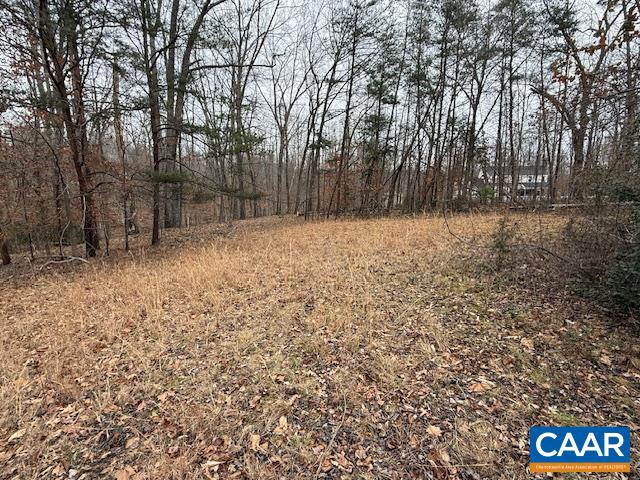 2375 Earlysville Road Earlysville, VA 22936 - Photo 29 of 38 a backyard of a house with lots of green space