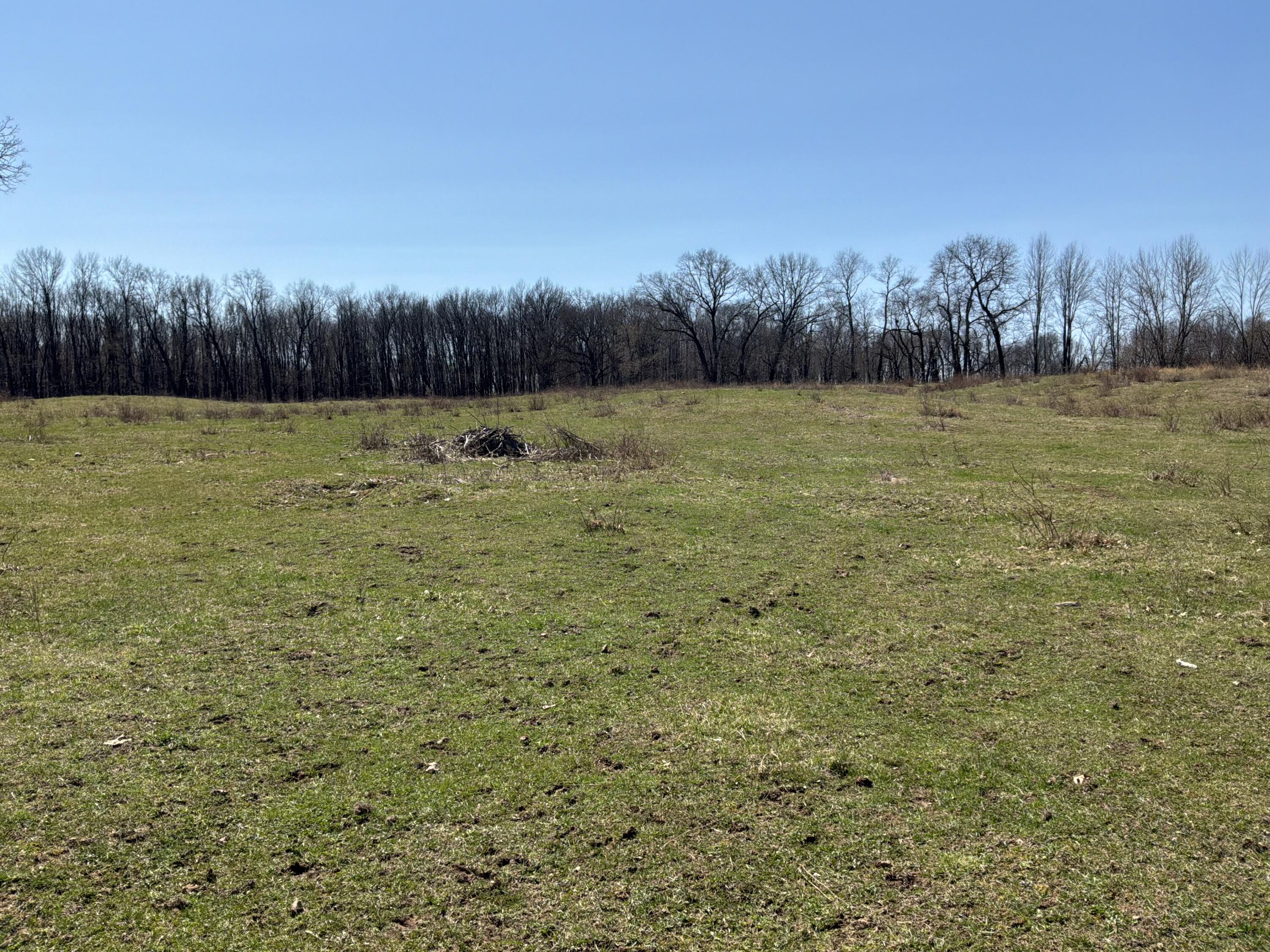 Wellman Road Parma, MI 49269 - Photo 2 of 5 IMG_1389