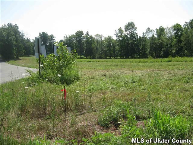 0 Whitelands Road Stone Ridge, NY 12484 - Photo 1 of 1 a view of a green field with lots of bushes