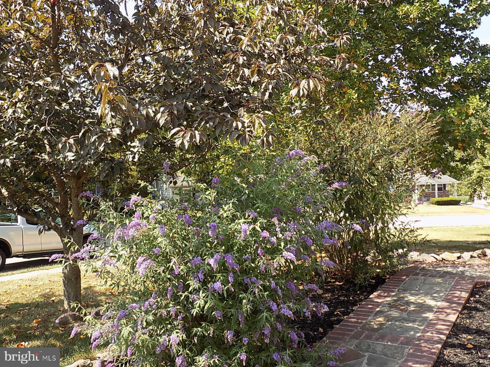 3425 Fox Ridge Court Dover, PA 17315 - Photo 11 of 40 Walk way