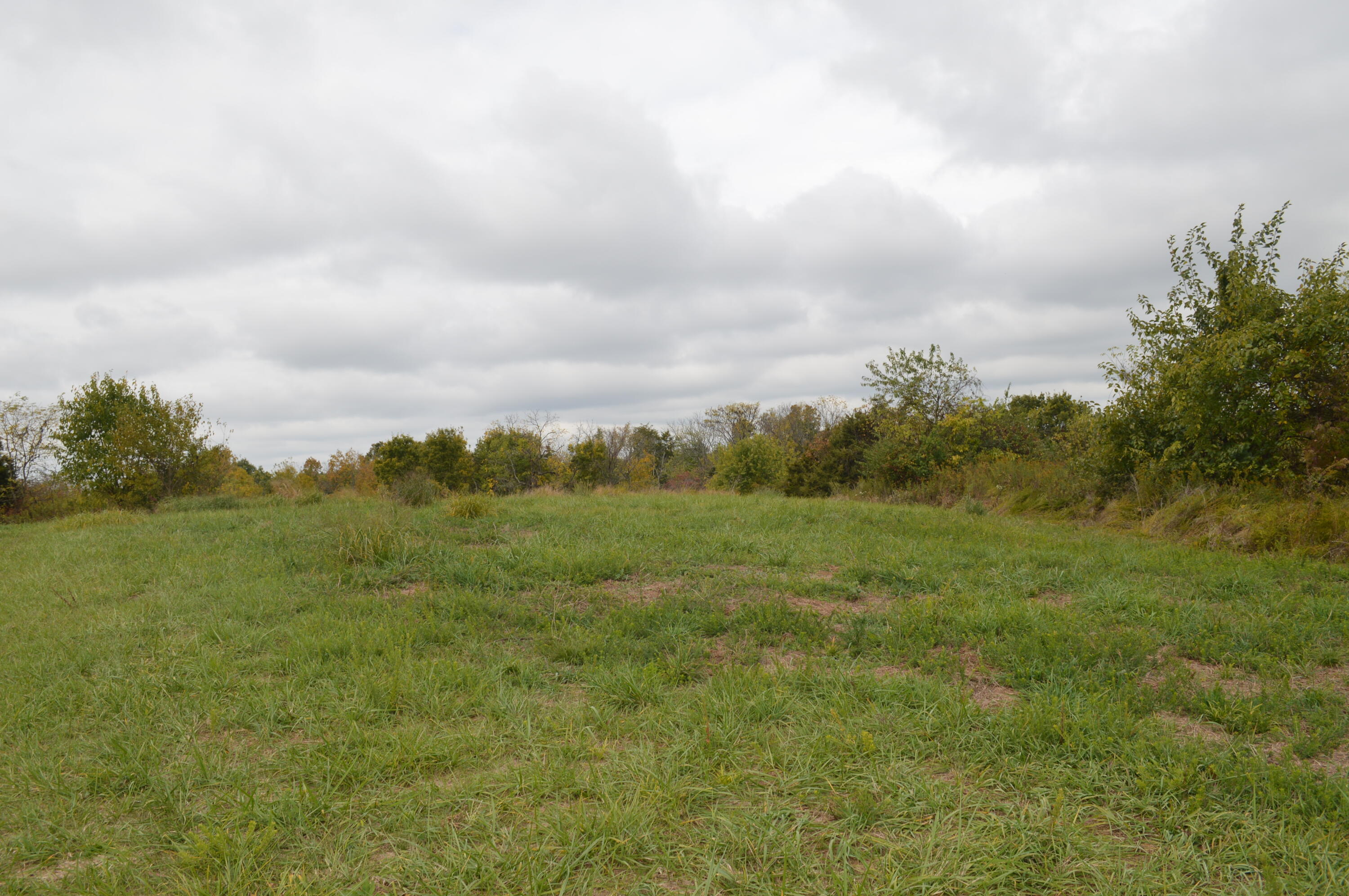 Lot #6 Georgetown Road Owenton, KY 40359 - Photo 10 of 24