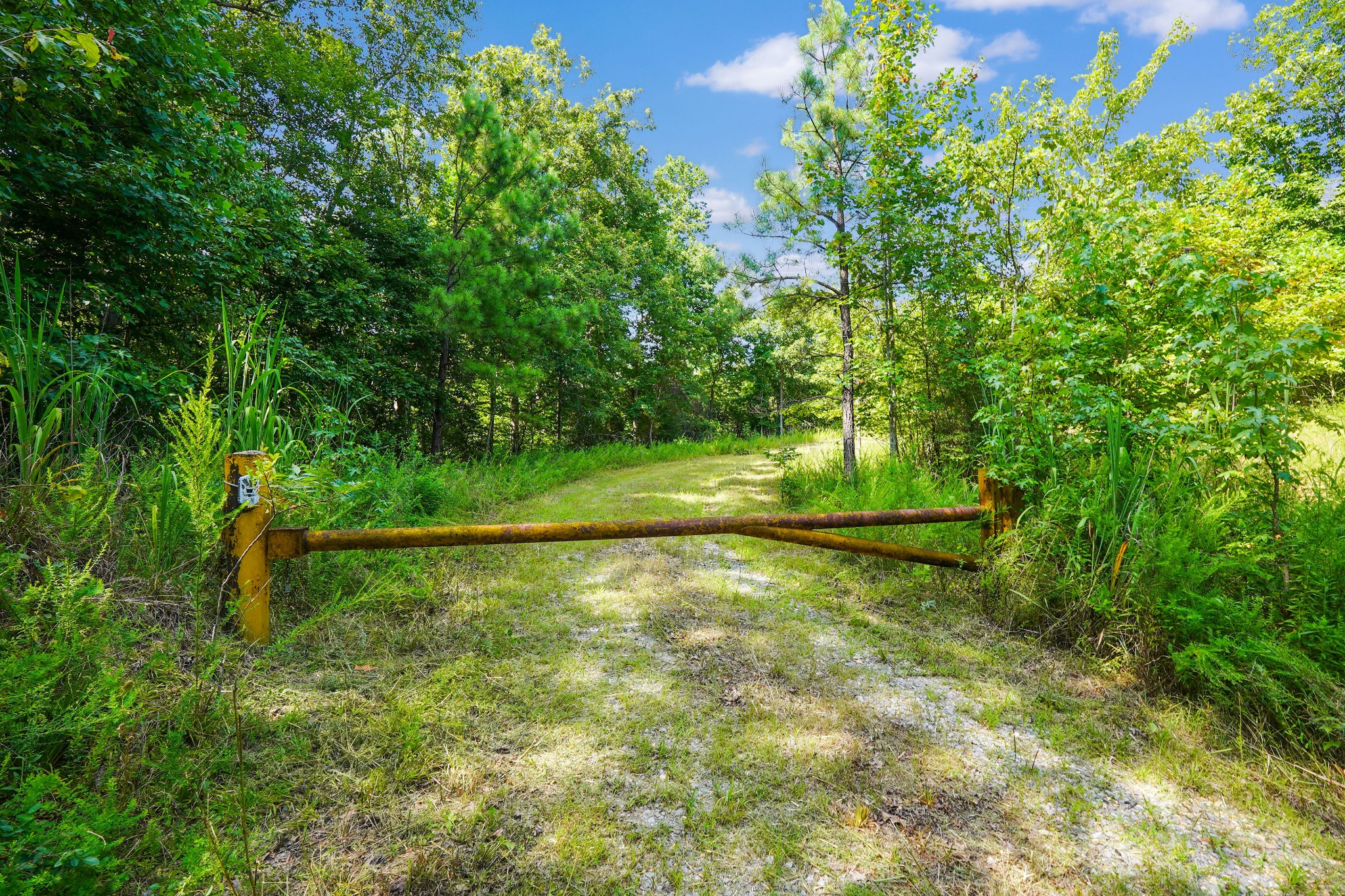 4 Cox Hollow Road Dover, TN 37058 - Photo 11 of 19 a view of a backyard