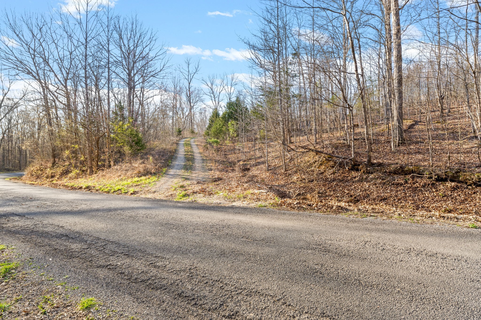 4 Cox Hollow Road Dover, TN 37058 - Photo 11 of 19 a view of a yard with large tree