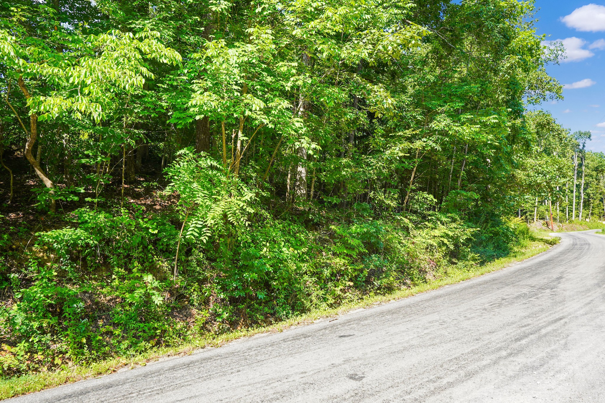 4 Cox Hollow Road Dover, TN 37058 - Photo 11 of 22 a view of a garden