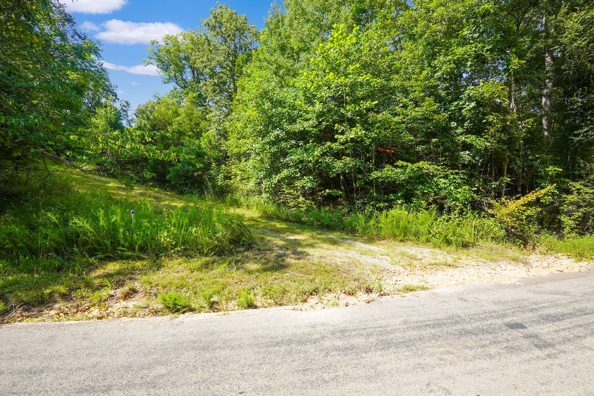 4 Cox Hollow Road Dover, TN 37058 - Photo 12 of 22 a view of backyard with green space