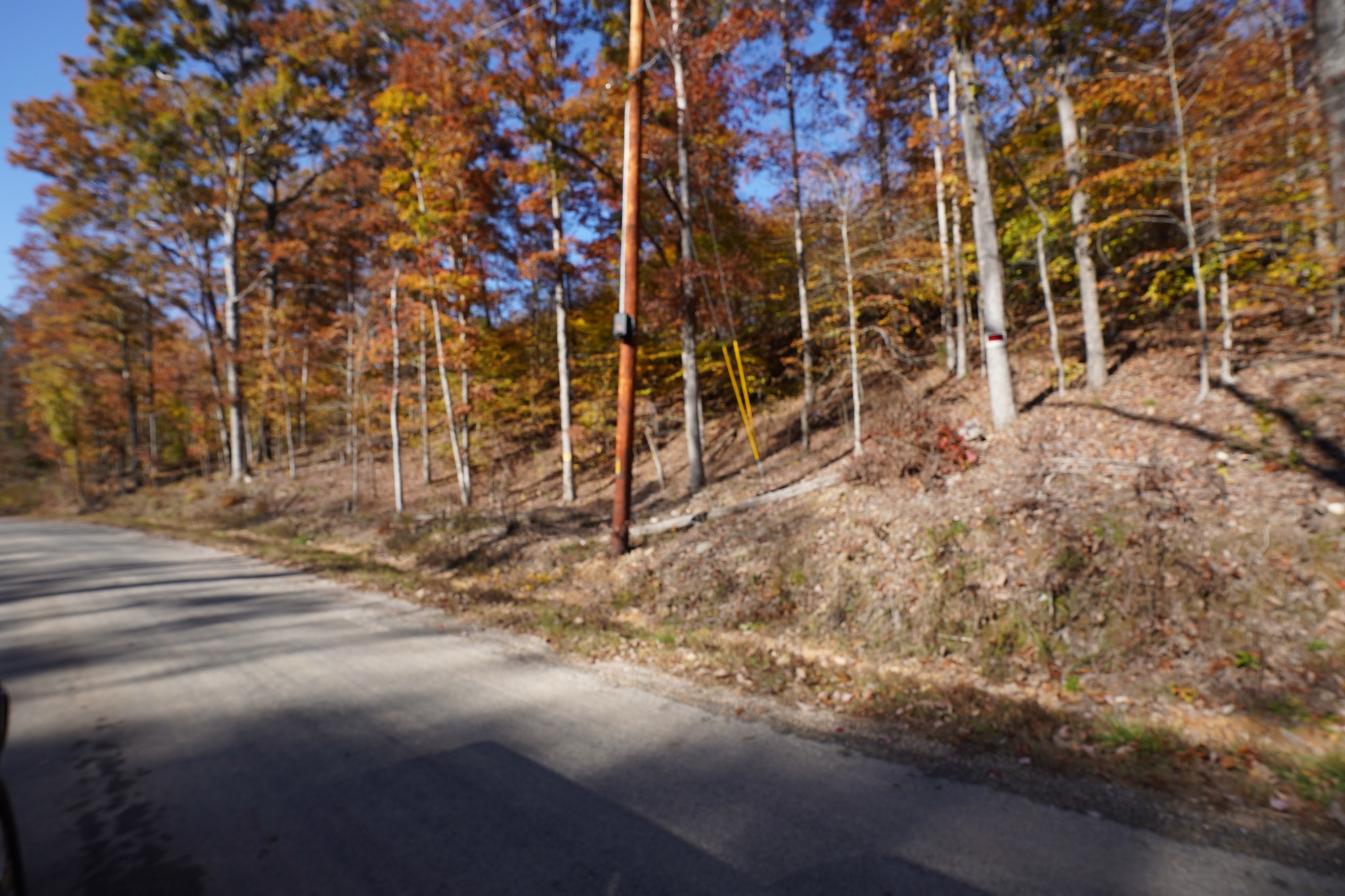 4 Cox Hollow Road Dover, TN 37058 - Photo 4 of 22 a view of empty room with a road