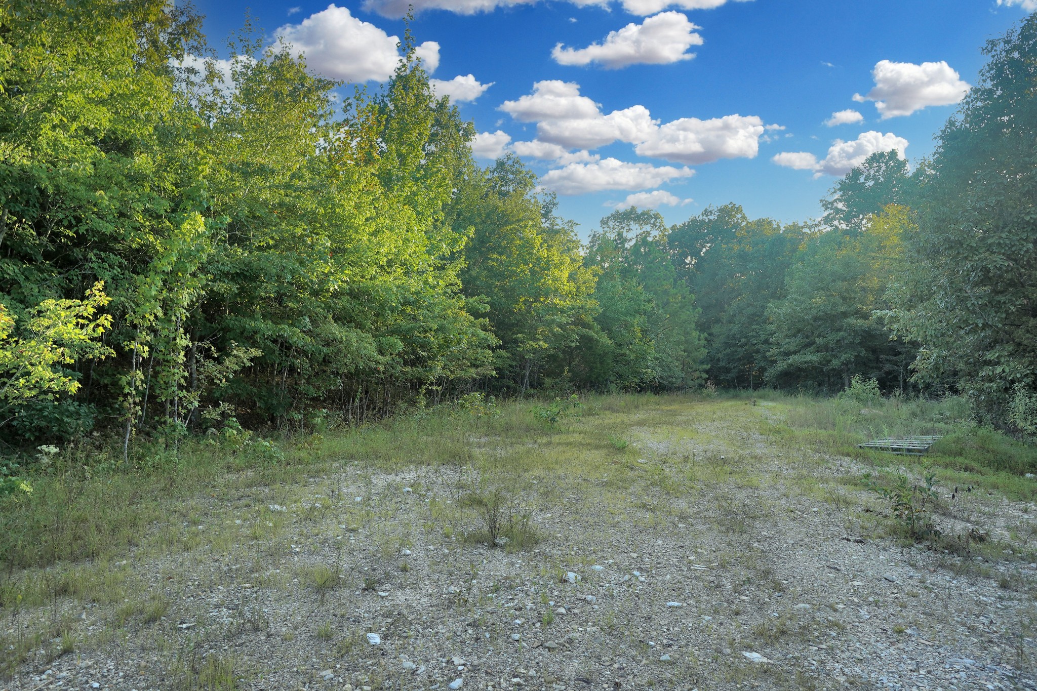 4 Cox Hollow Road Dover, TN 37058 - Photo 5 of 19 a view of a green yard