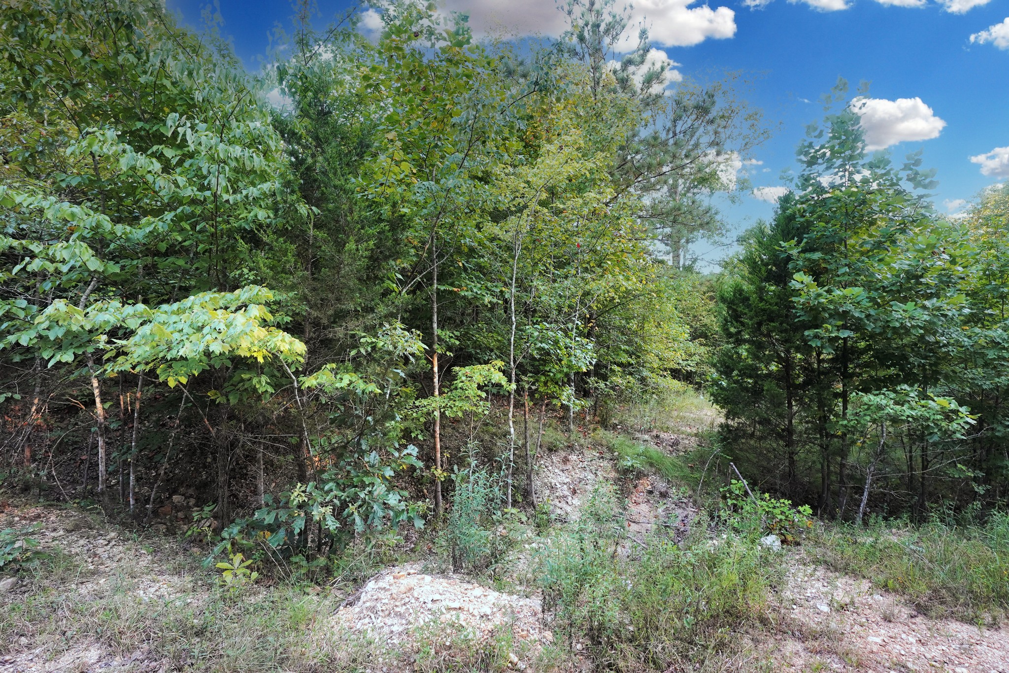 4 Cox Hollow Road Dover, TN 37058 - Photo 6 of 19 a view of a house with a street