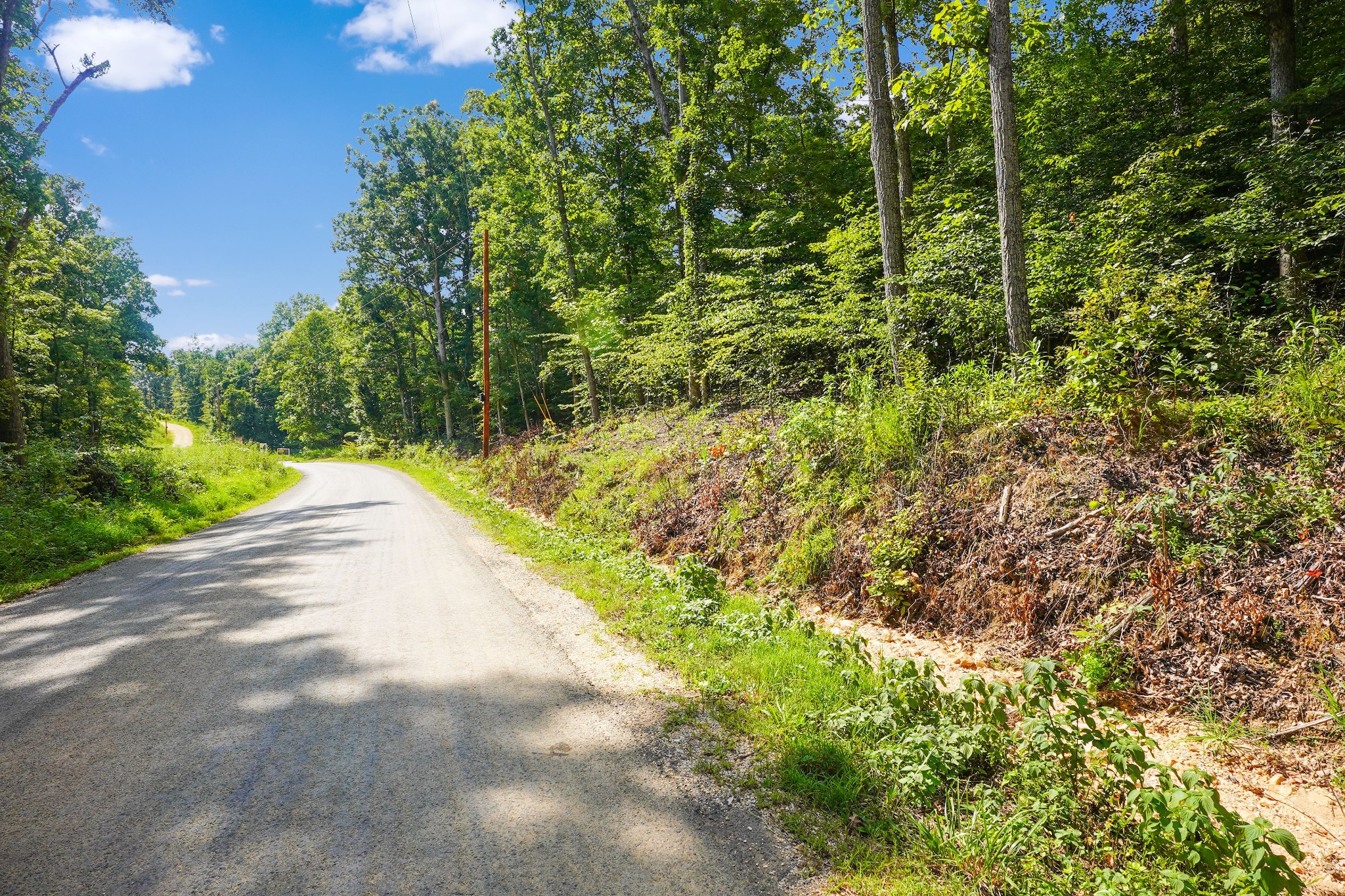 4 Cox Hollow Road Dover, TN 37058 - Photo 6 of 22 a view of a pathway both side of yard