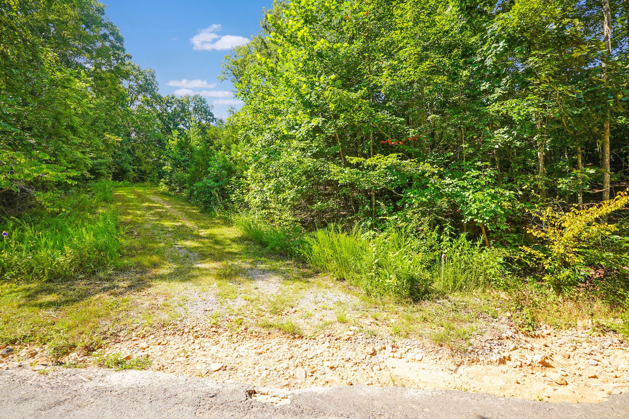 4 Cox Hollow Road Dover, TN 37058 - Photo 9 of 22 a view of yard with green space