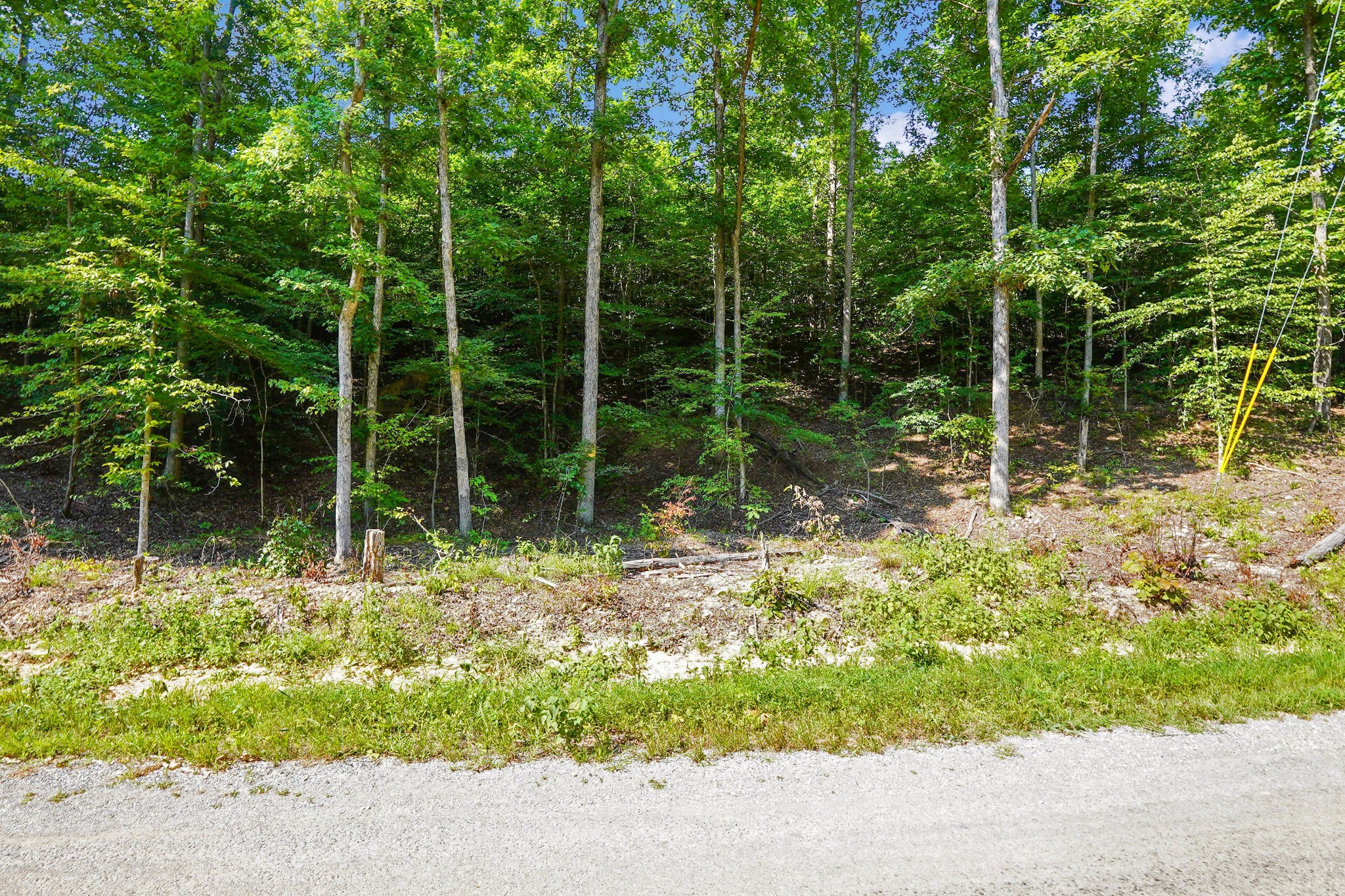 4 Cox Hollow Road Dover, TN 37058 - Photo 10 of 22 a backyard of a house with plants and large trees