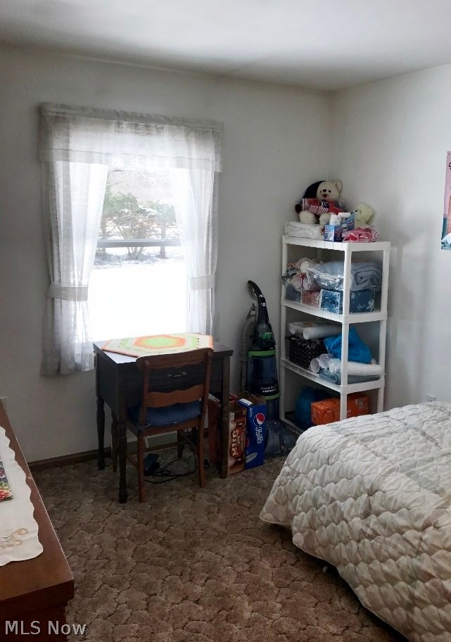 8756 Peck Road Ravenna, OH 44266 - Photo 18 of 31 Gallery Image 18