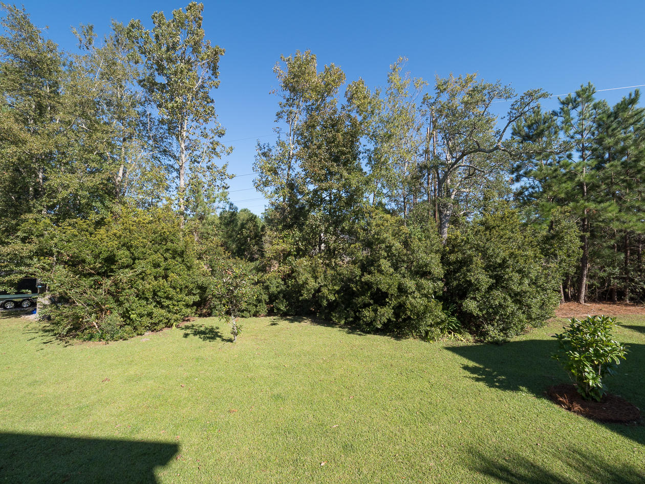 2262 Sandy Point Lane Mount Pleasant, SC 29466 - Photo 27 of 42 Backyard