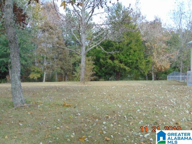 1675 County Road 59 Verbena, AL 36091 - Photo 8 of 25