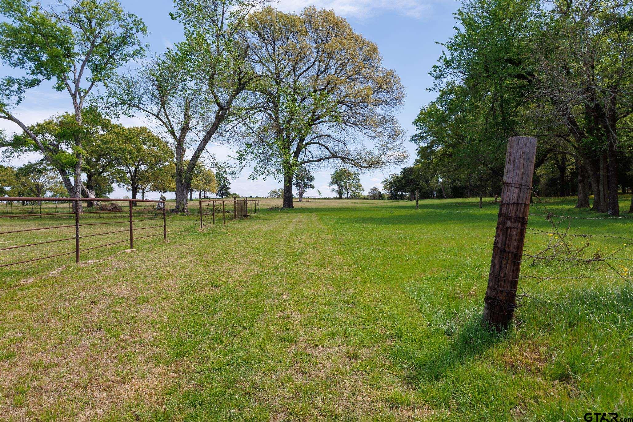 411 VZ County Road Ben Wheeler, TX 75754 - Photo 1 of 46 a backyard of a house with lots of green space
