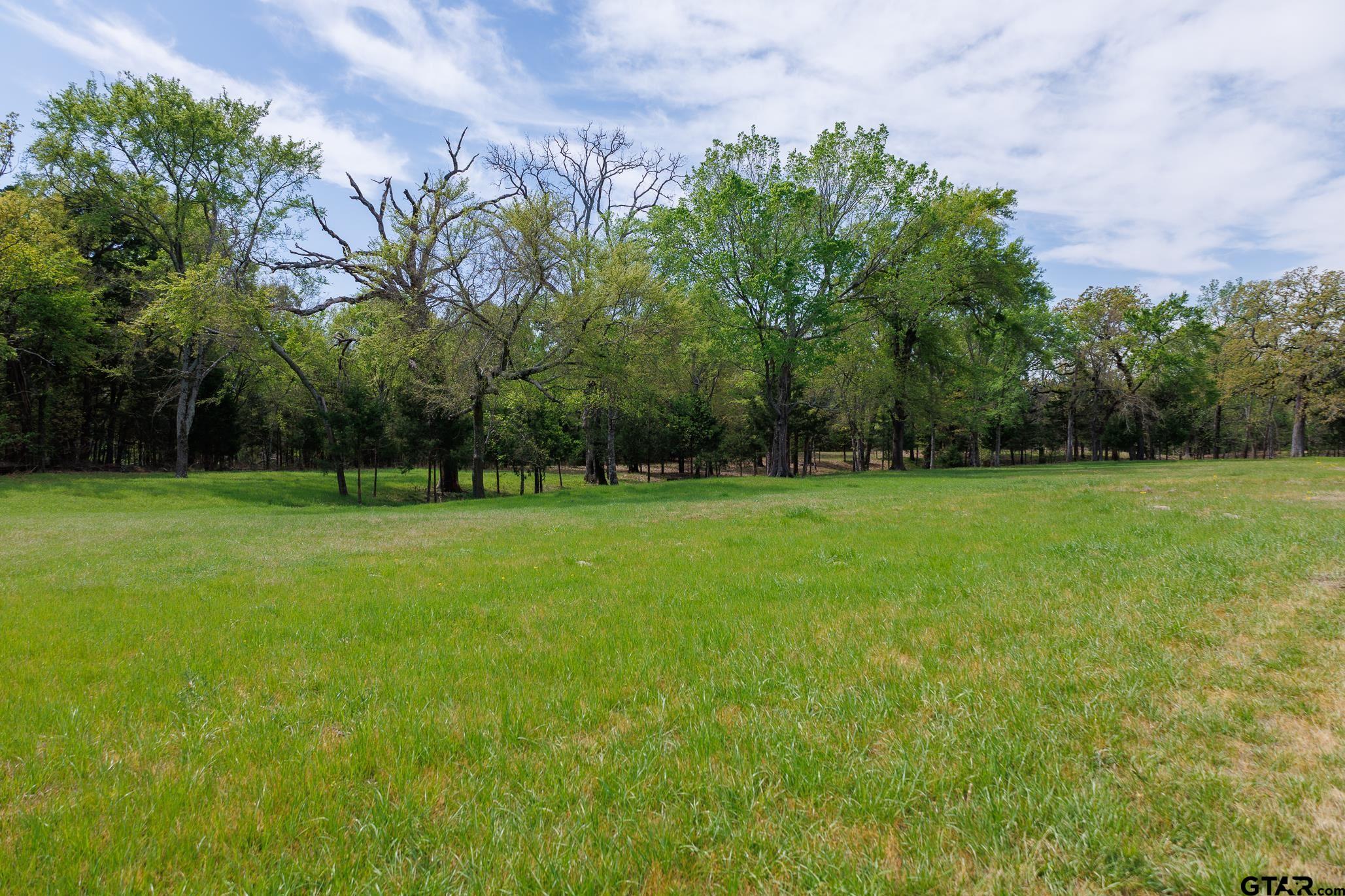 411 VZ County Road Ben Wheeler, TX 75754 - Photo 11 of 46 a view of a park with large trees