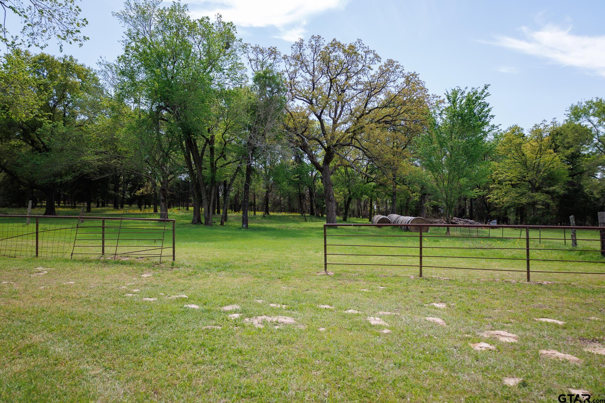 411 VZ County Road Ben Wheeler, TX 75754 - Photo 17 of 46 a view of a park and trees in the background