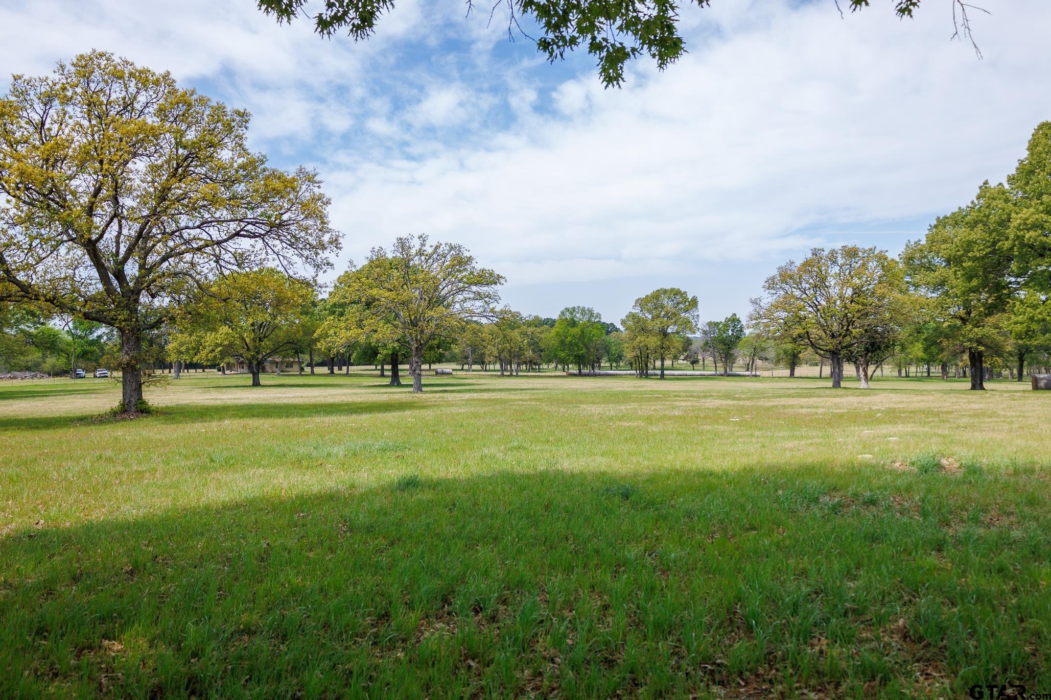 411 VZ County Road Ben Wheeler, TX 75754 - Photo 20 of 46 a view of outdoor space with garden and trees