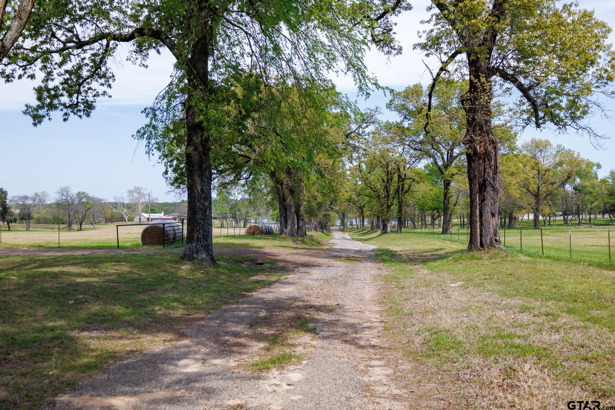 411 VZ County Road Ben Wheeler, TX 75754 - Photo 2 of 46 a view of a yard with trees