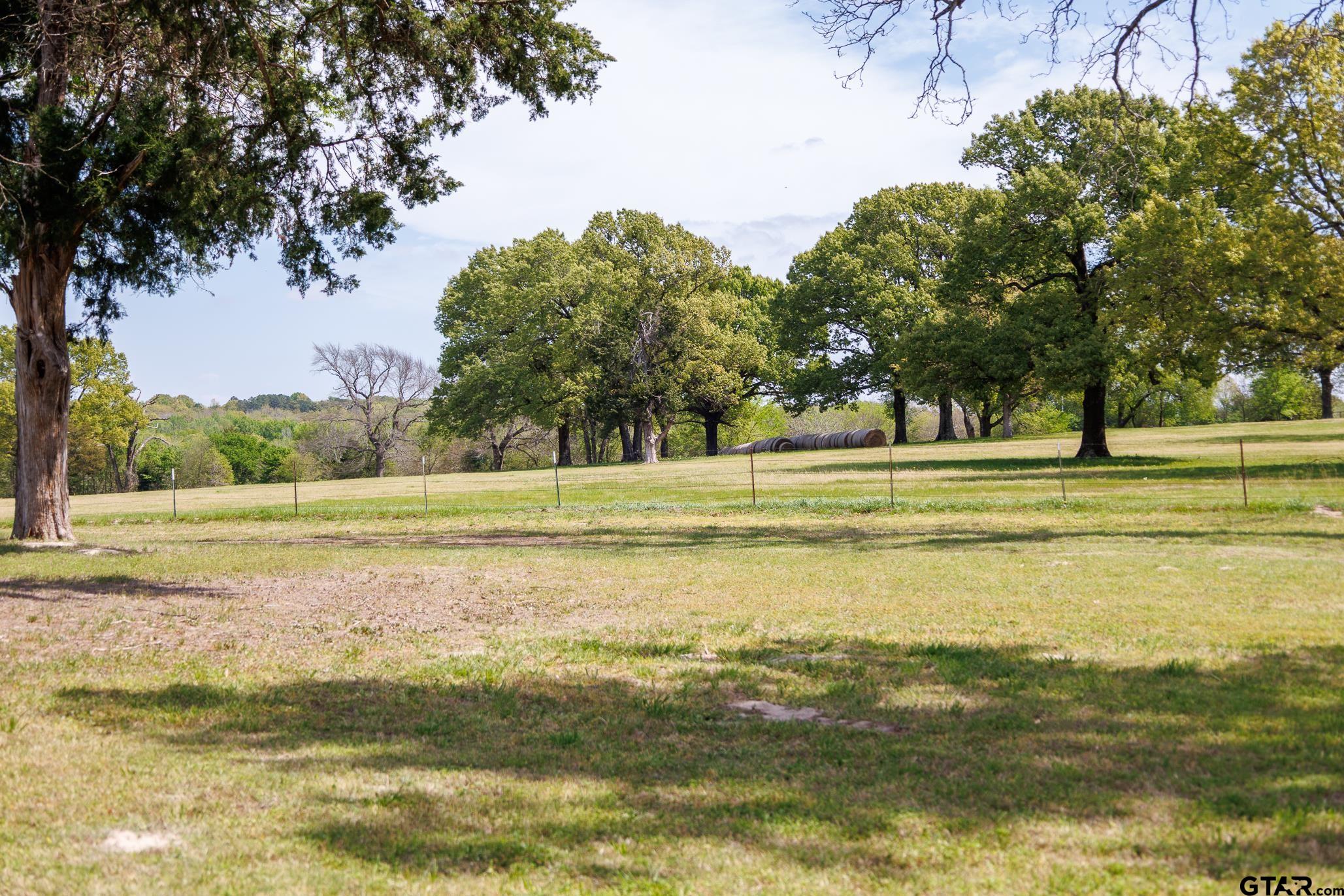 411 VZ County Road Ben Wheeler, TX 75754 - Photo 21 of 46 a view of a swimming pool and a yard