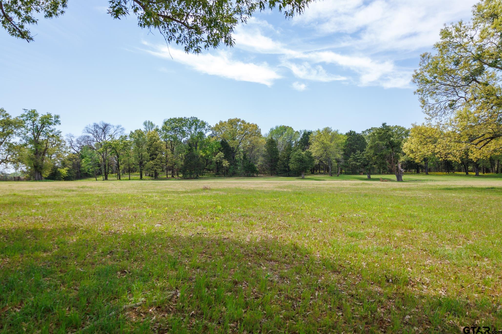 411 VZ County Road Ben Wheeler, TX 75754 - Photo 22 of 46 a view of a green field