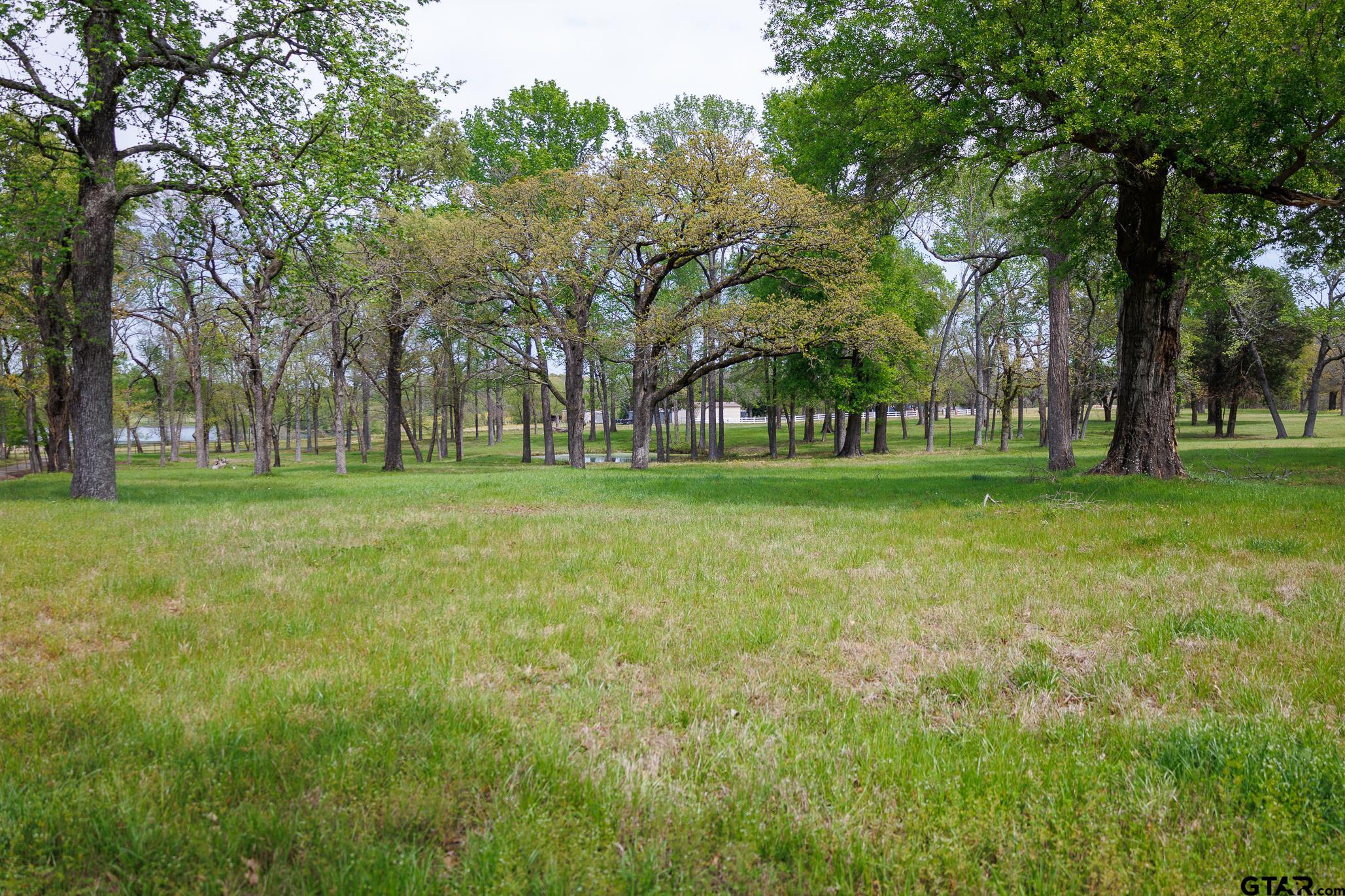 411 VZ County Road Ben Wheeler, TX 75754 - Photo 23 of 46 a huge green field with lots of trees