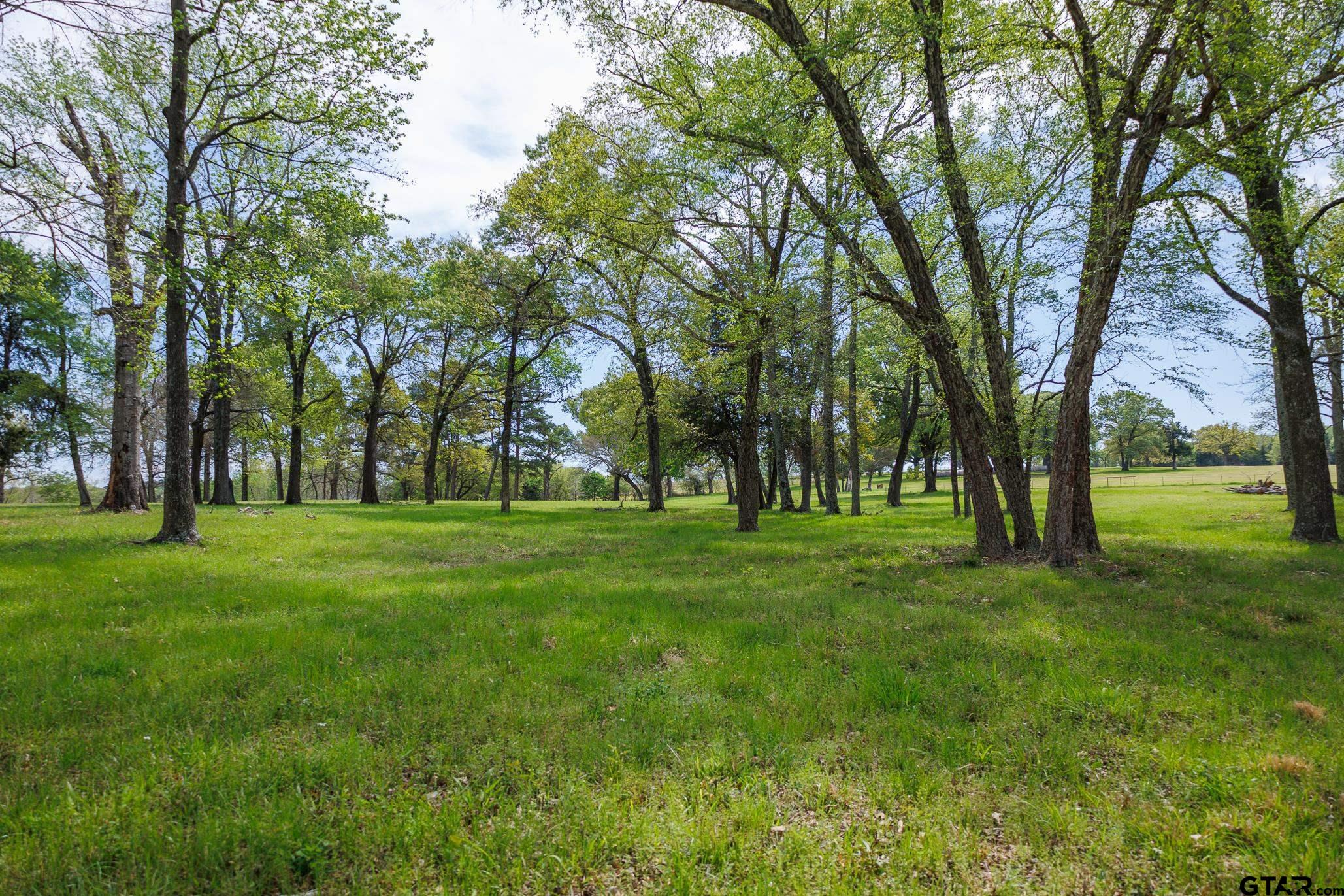 411 VZ County Road Ben Wheeler, TX 75754 - Photo 24 of 46 a huge green field with lots of trees