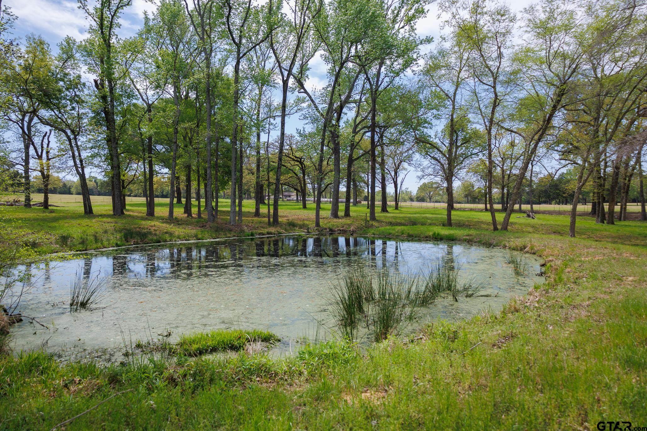 411 VZ County Road Ben Wheeler, TX 75754 - Photo 25 of 46 a view of a park with large trees