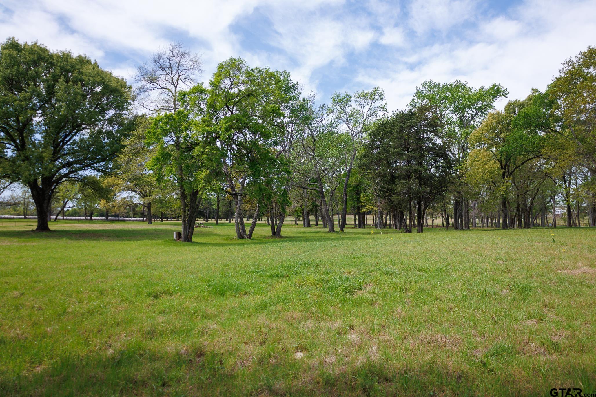 411 VZ County Road Ben Wheeler, TX 75754 - Photo 26 of 46 a view of outdoor space with green field and trees