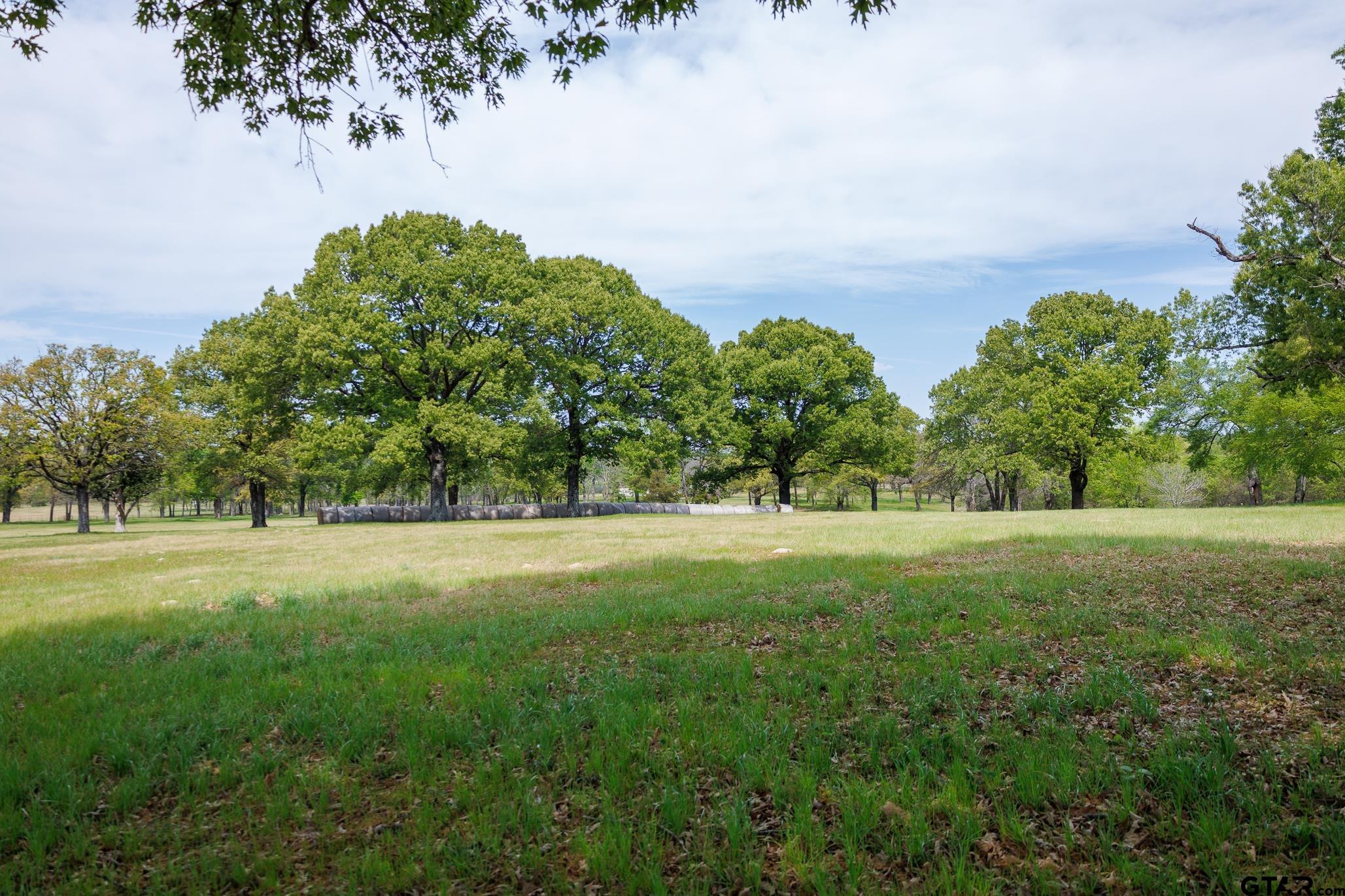 411 VZ County Road Ben Wheeler, TX 75754 - Photo 27 of 46 a view of field with trees in the background