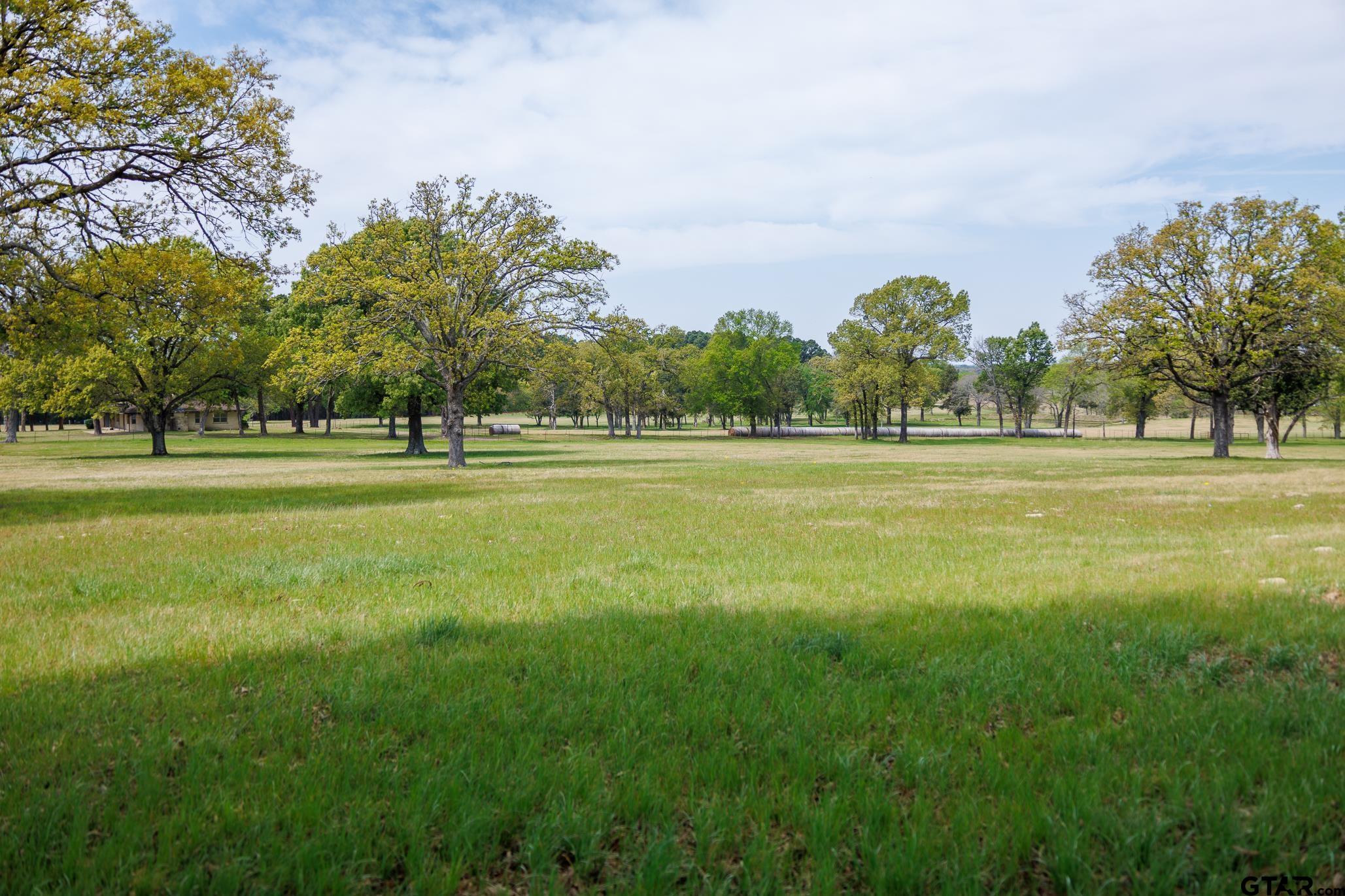 411 VZ County Road Ben Wheeler, TX 75754 - Photo 28 of 46 a yard with lots of trees and buildings in the background