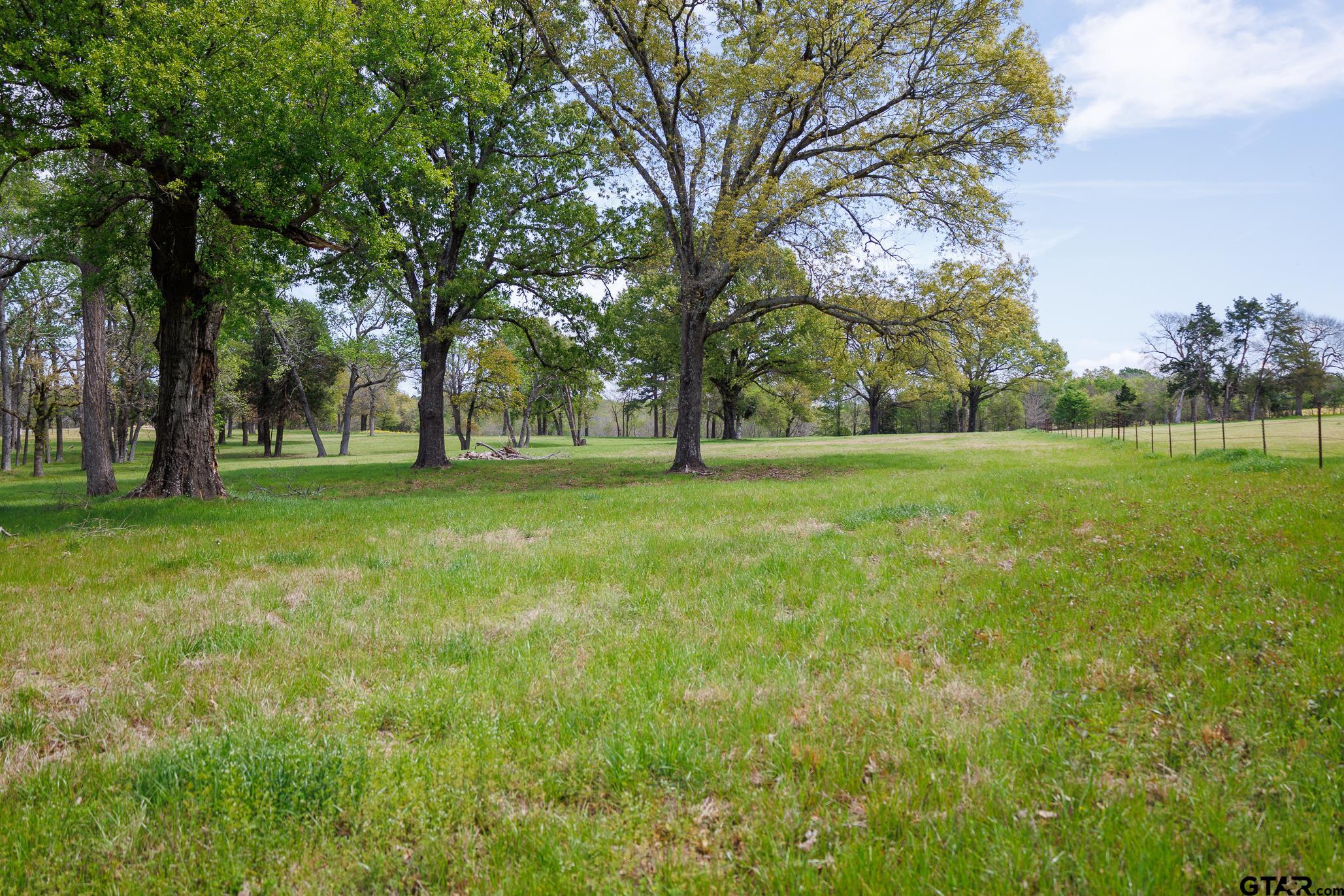 411 VZ County Road Ben Wheeler, TX 75754 - Photo 29 of 46 a grassy field with trees in the background