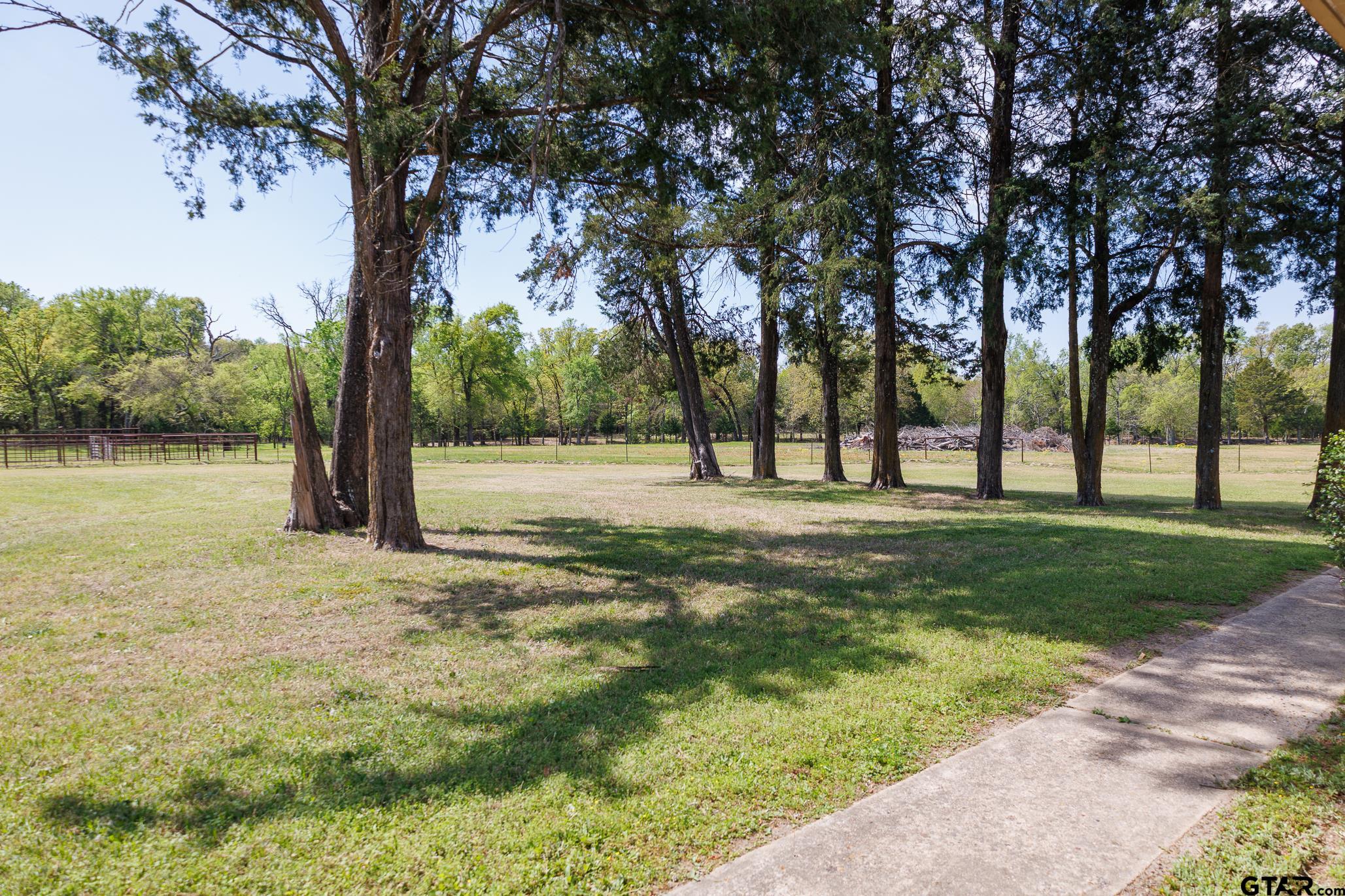 411 VZ County Road Ben Wheeler, TX 75754 - Photo 3 of 46 a view of outdoor space with garden