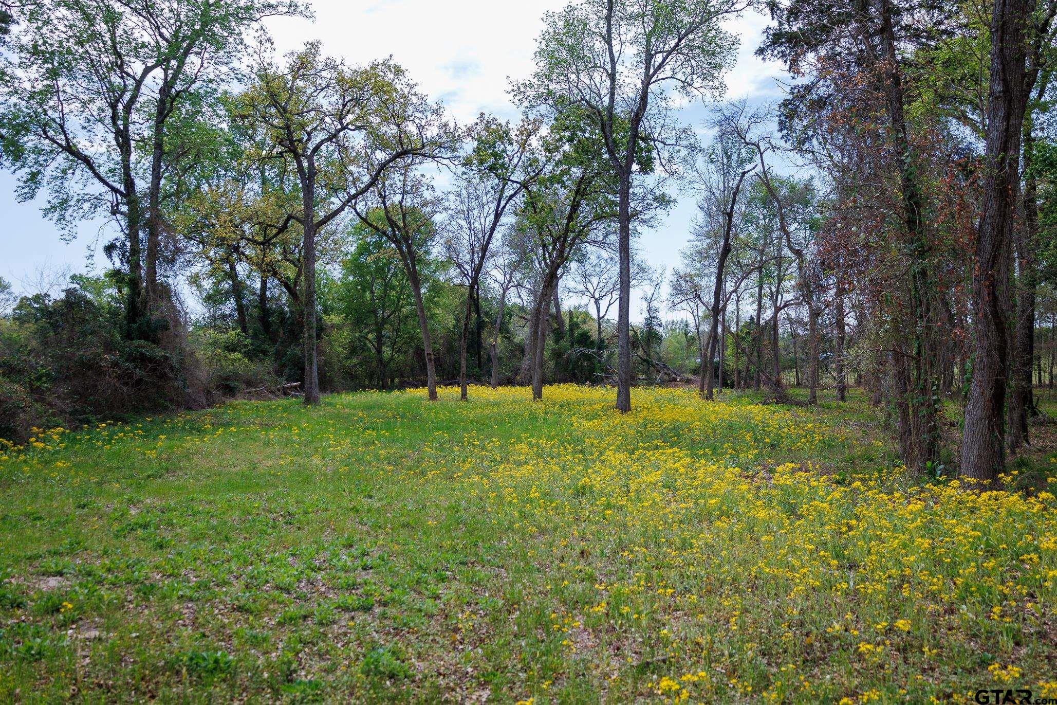 411 VZ County Road Ben Wheeler, TX 75754 - Photo 31 of 46 a view of a garden with a tree