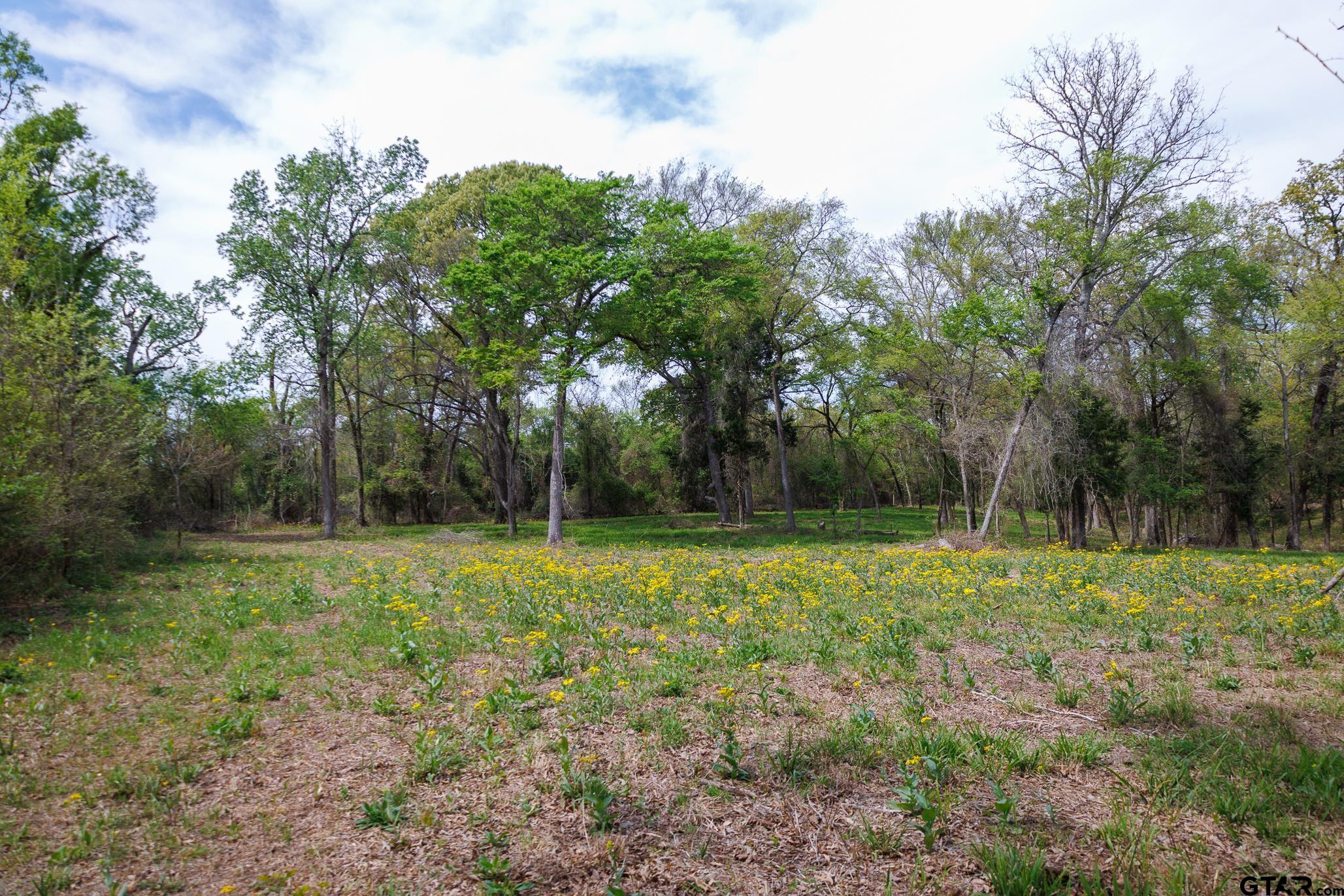 411 VZ County Road Ben Wheeler, TX 75754 - Photo 33 of 46 a view of outdoor space with trees all around