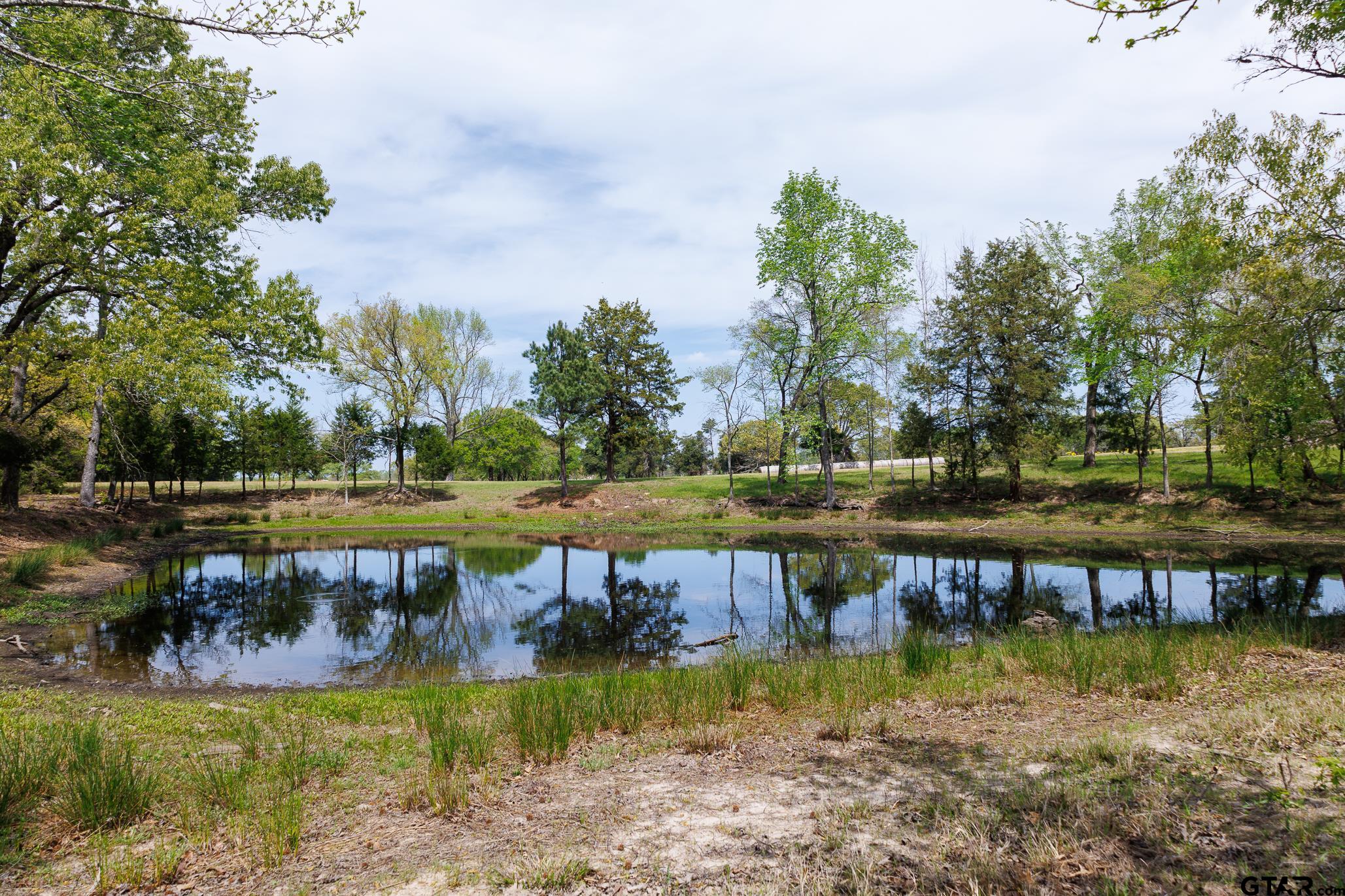 411 VZ County Road Ben Wheeler, TX 75754 - Photo 36 of 46 a view of a lake with a yard