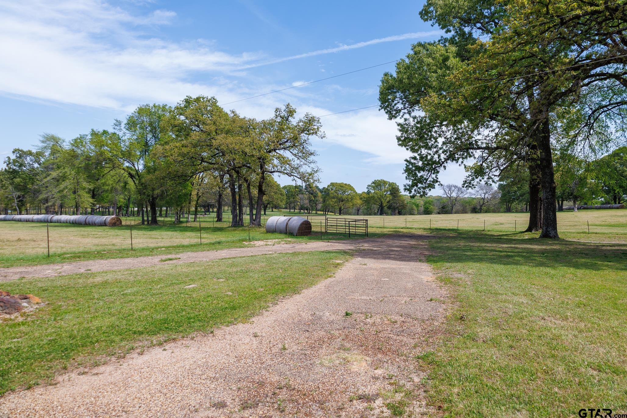 411 VZ County Road Ben Wheeler, TX 75754 - Photo 4 of 46 a view of a park