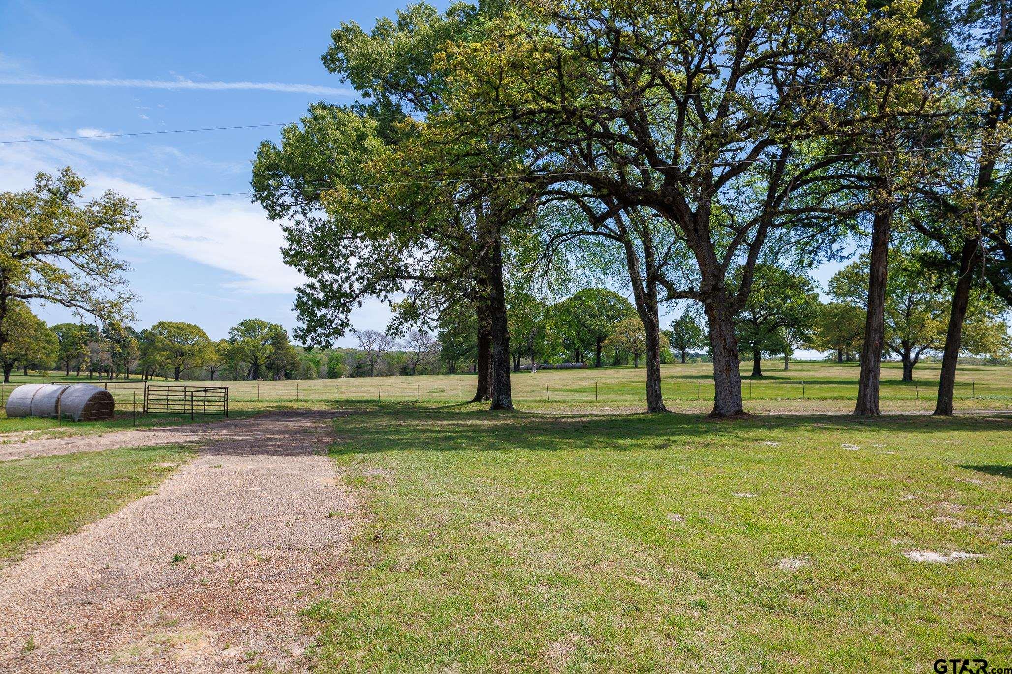 411 VZ County Road Ben Wheeler, TX 75754 - Photo 5 of 46 a view of a park